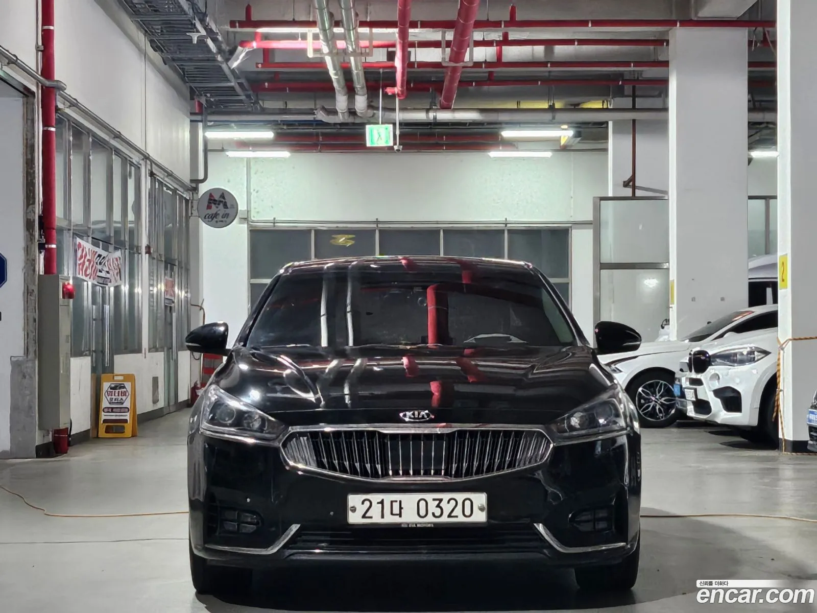 Korex Auto Trade - фотография 11264090