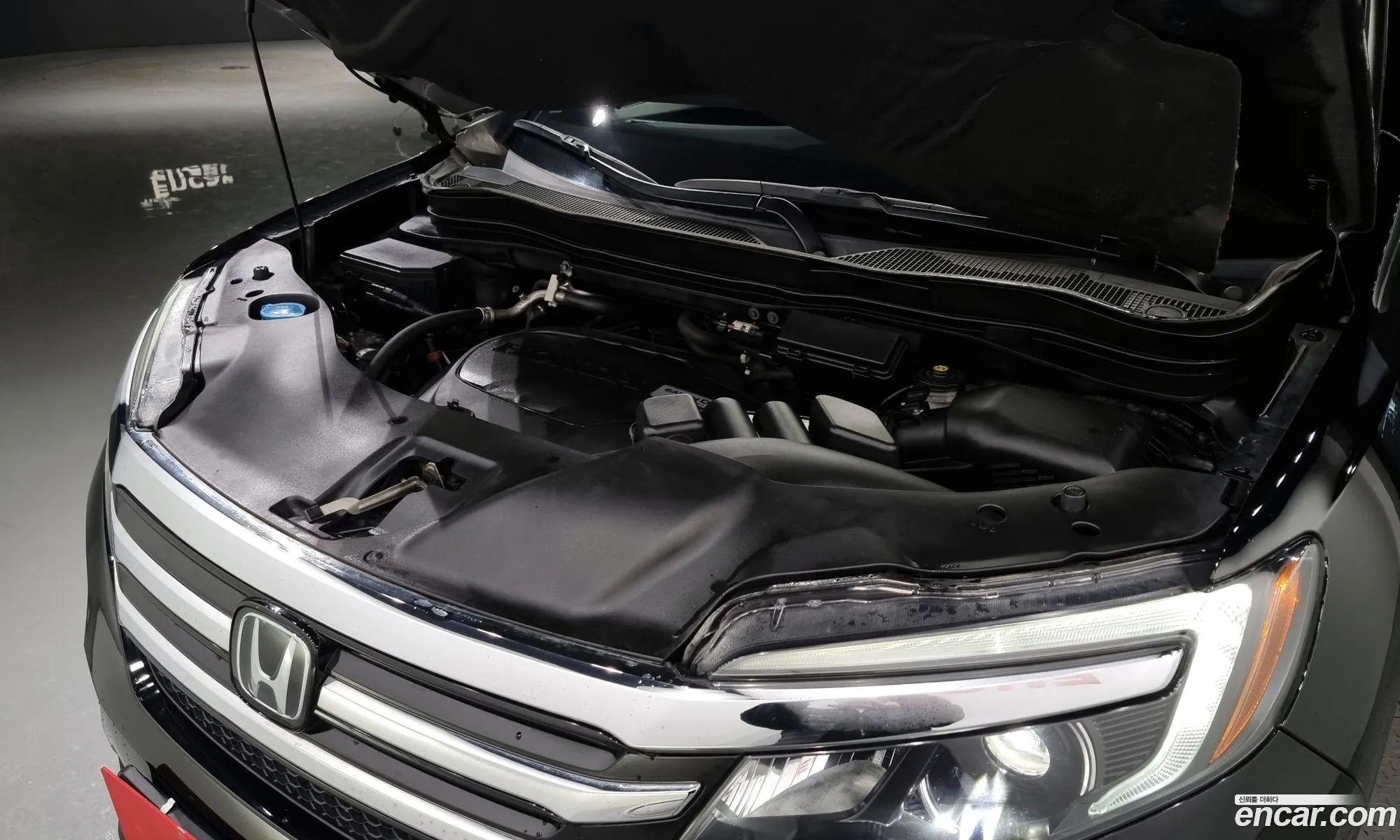 Korex Auto Trade - фотография 11095906