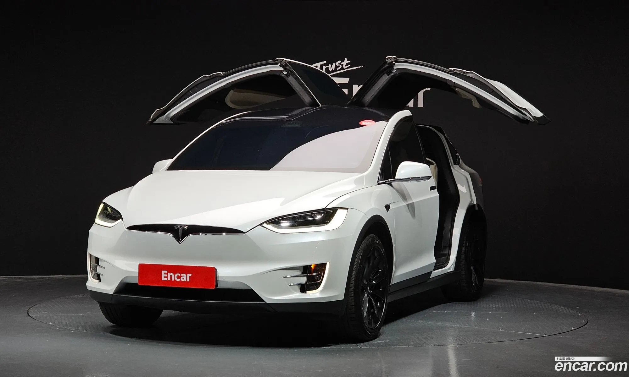 Model X Long Range - фотография 973445