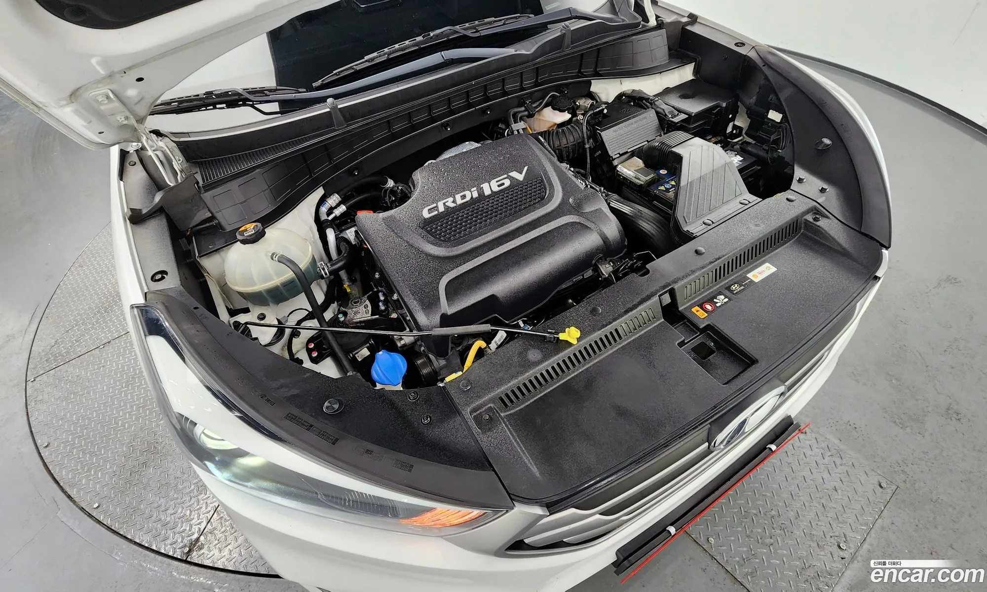 Korex Auto Trade - фотография 15307148