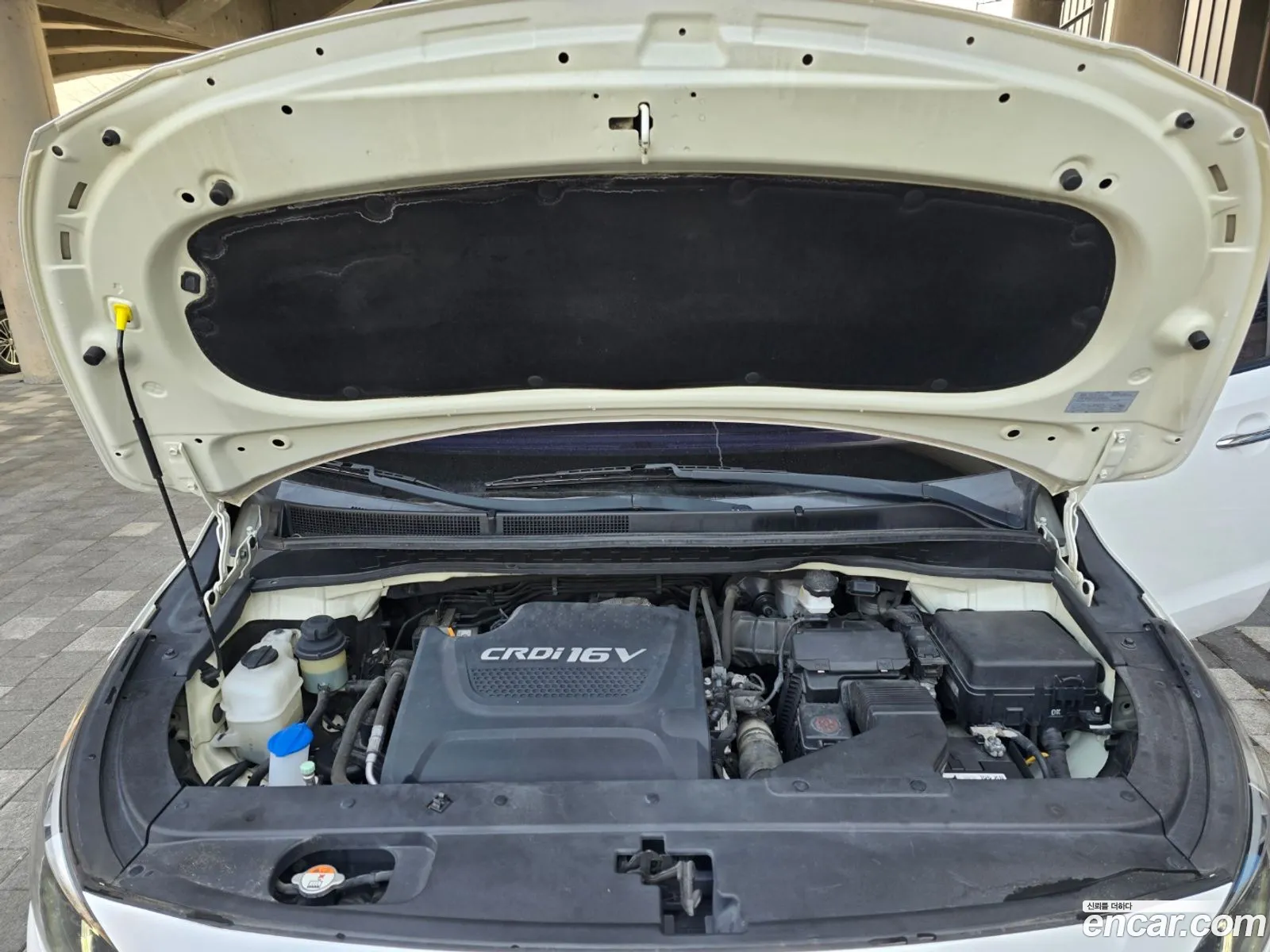 Korex Auto Trade - фотография 11209772