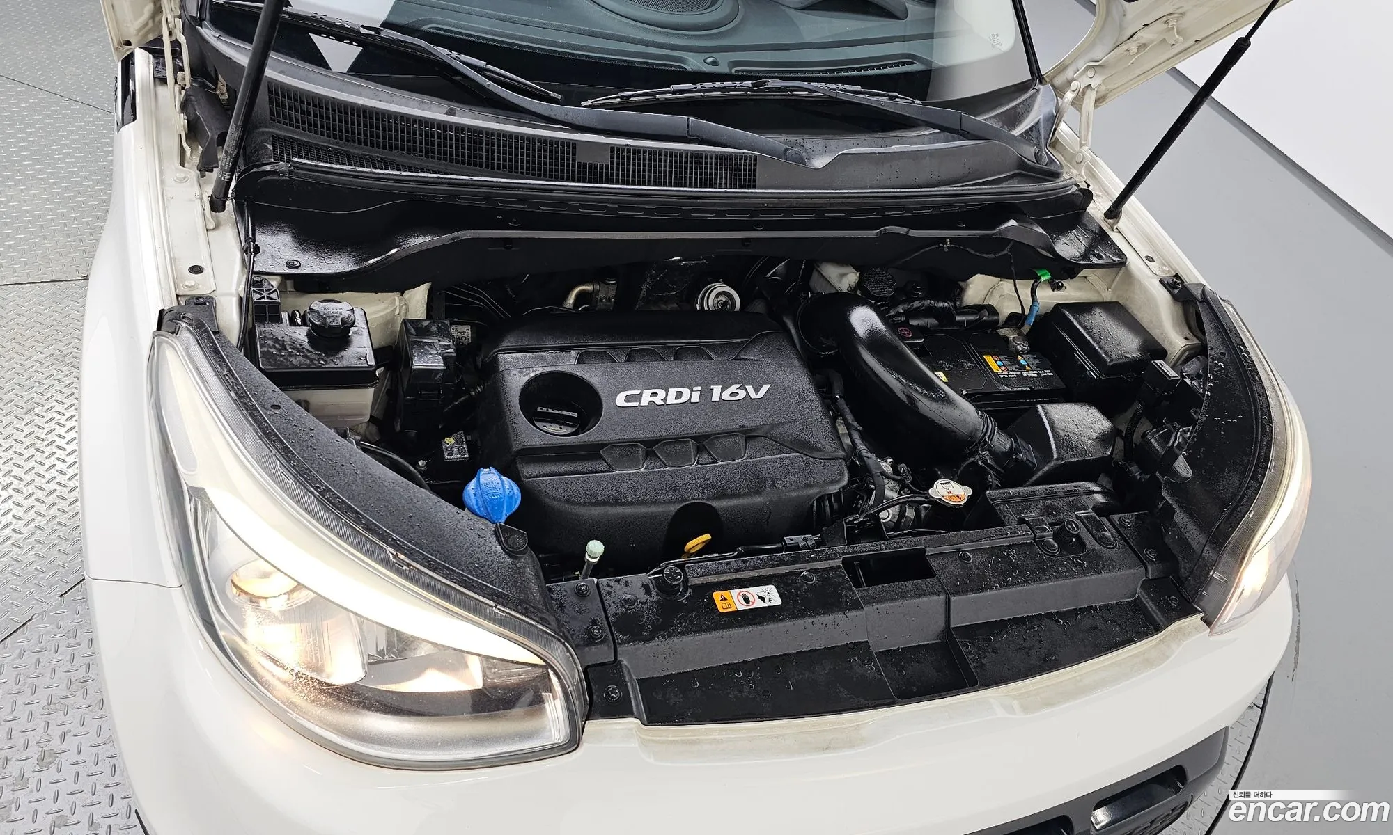 Korex Auto Trade - фотография 11207485