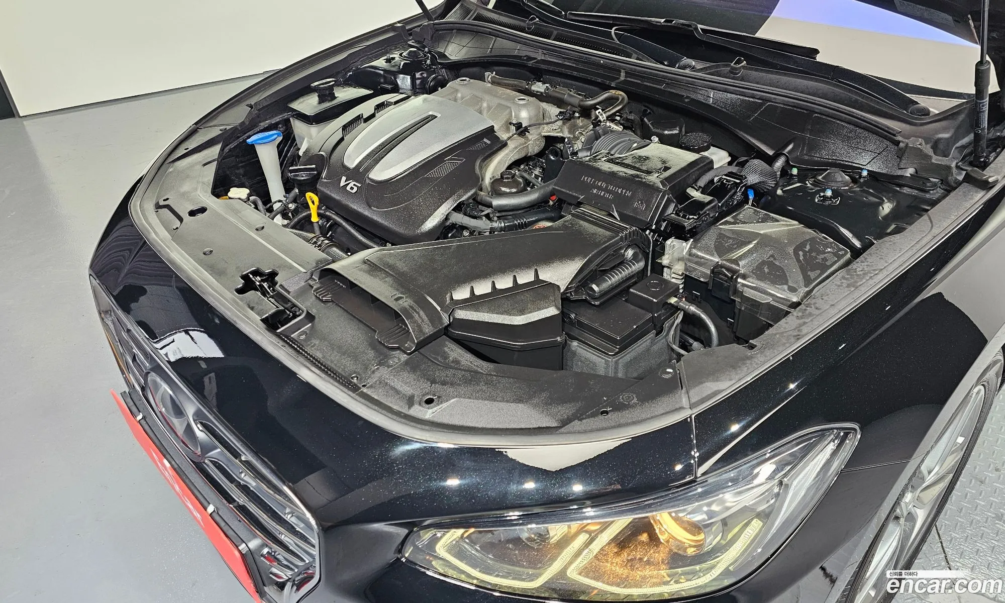 Korex Auto Trade - фотография 1222882
