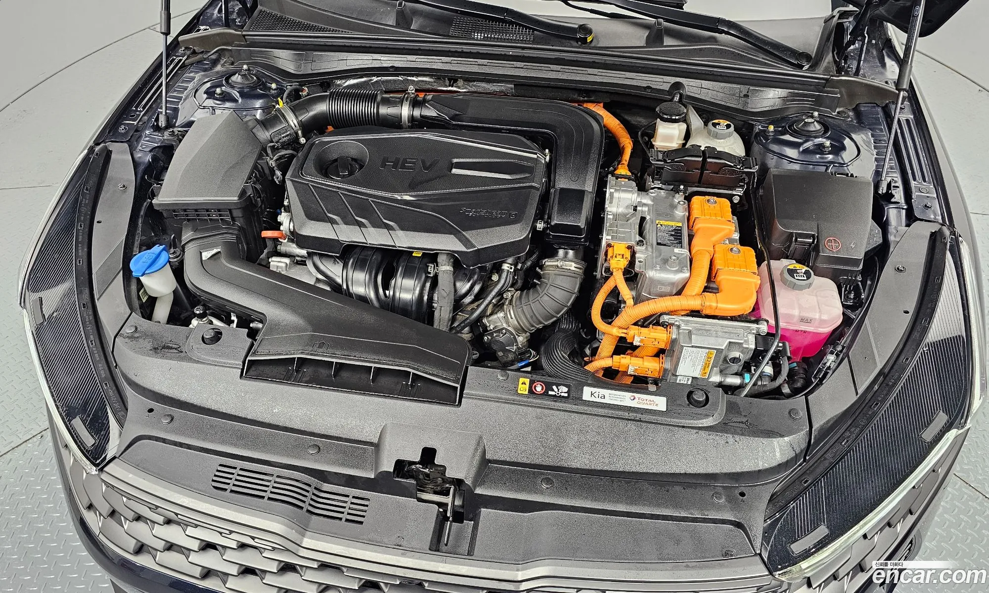 Korex Auto Trade - фотография 11300354