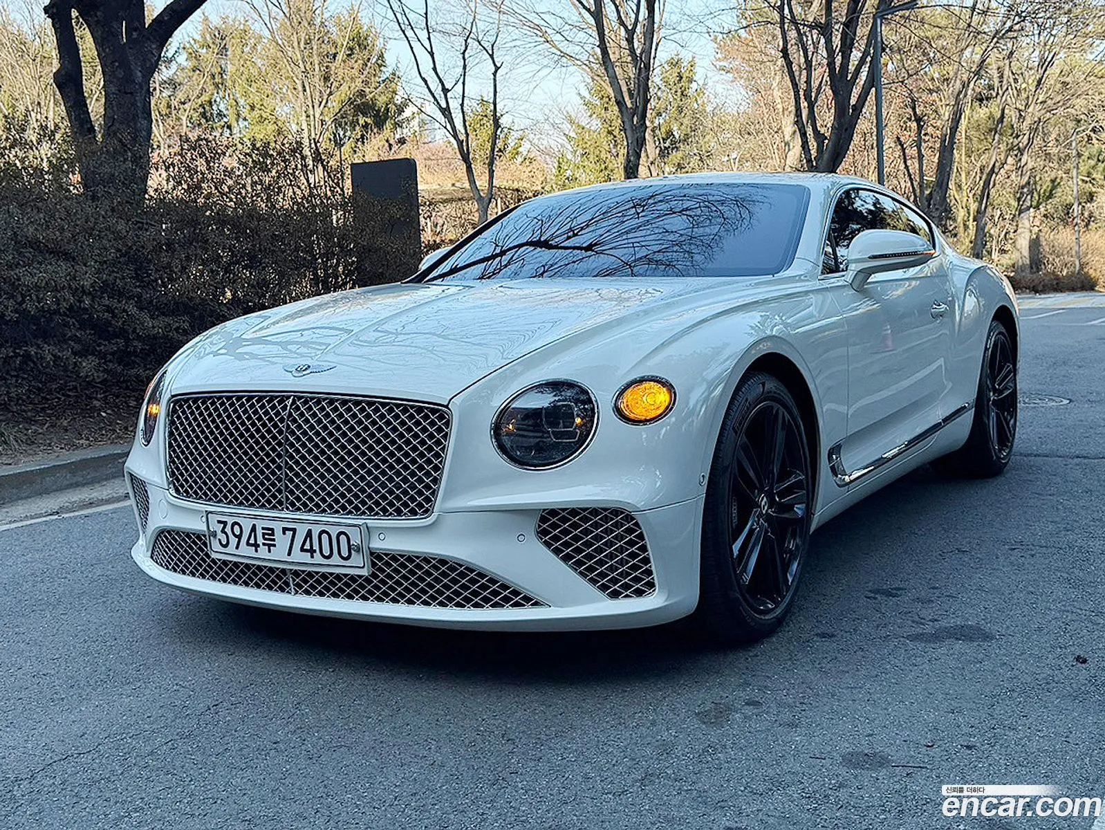 Continental Gt 3Rd Generation 60 Gt - фотография 3522221
