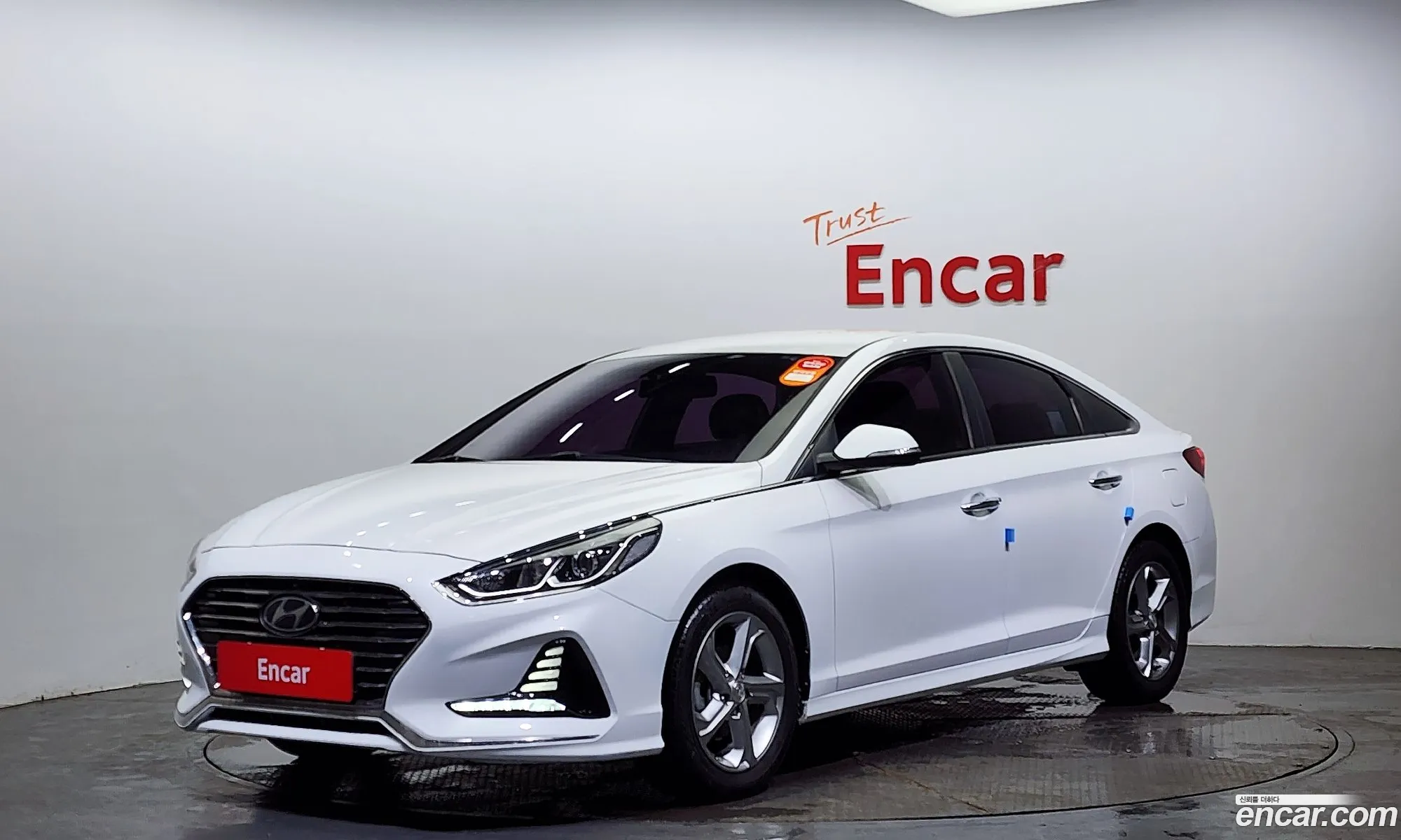 Sonata New Rise 20 Smart Special - фотография 741592