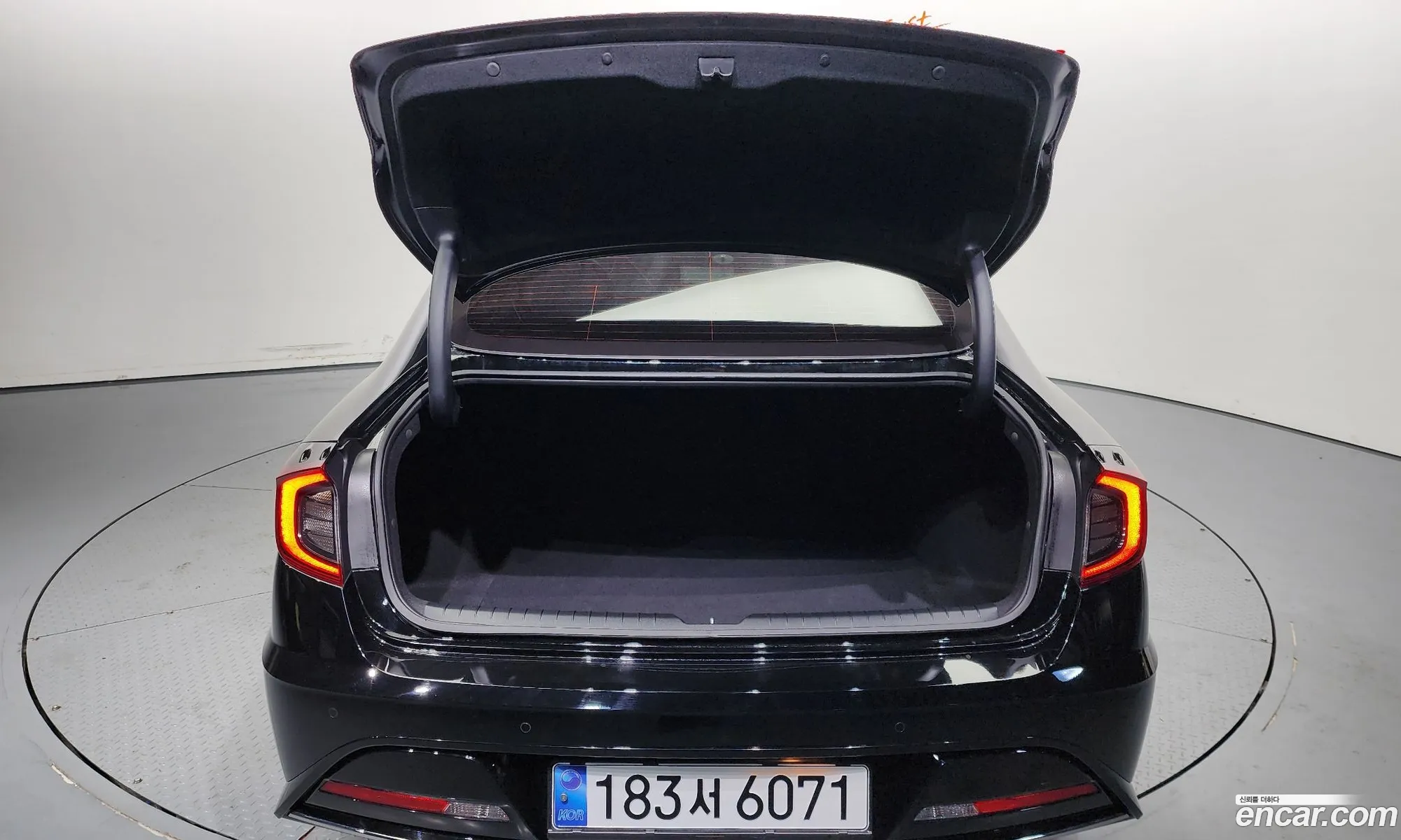 Sonata Dn8 20 Premium Plus - фотография 17194668
