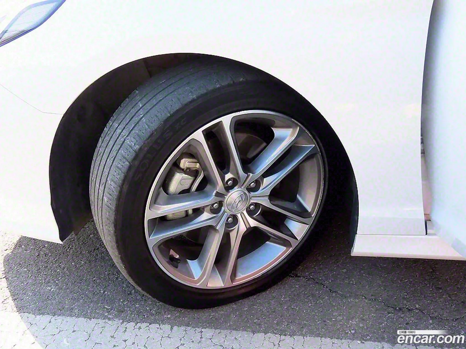 Sonata New Rise 20 Premium Special - фотография 17194644