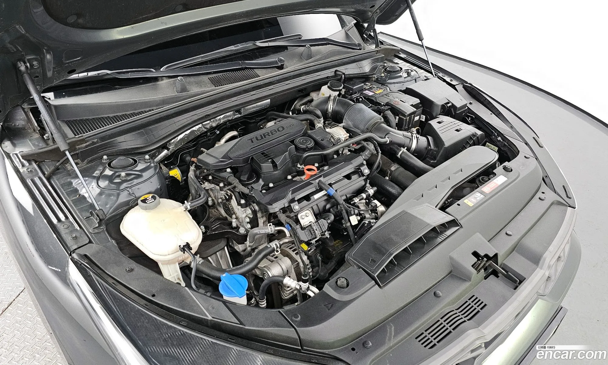 Korex Auto Trade - фотография 11270550