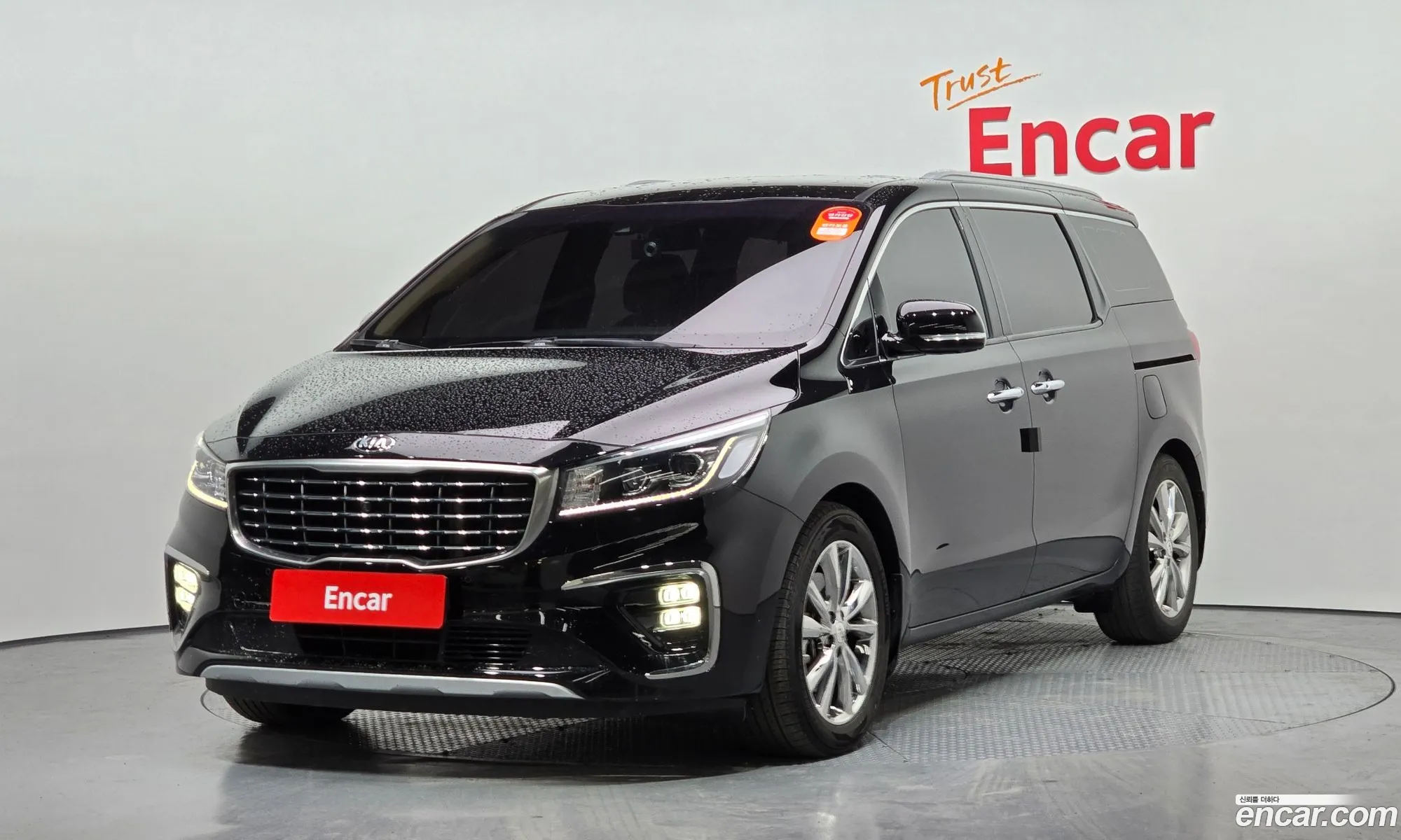The New Carnival 9 -Seater Noblesse Special - фотография 11259237