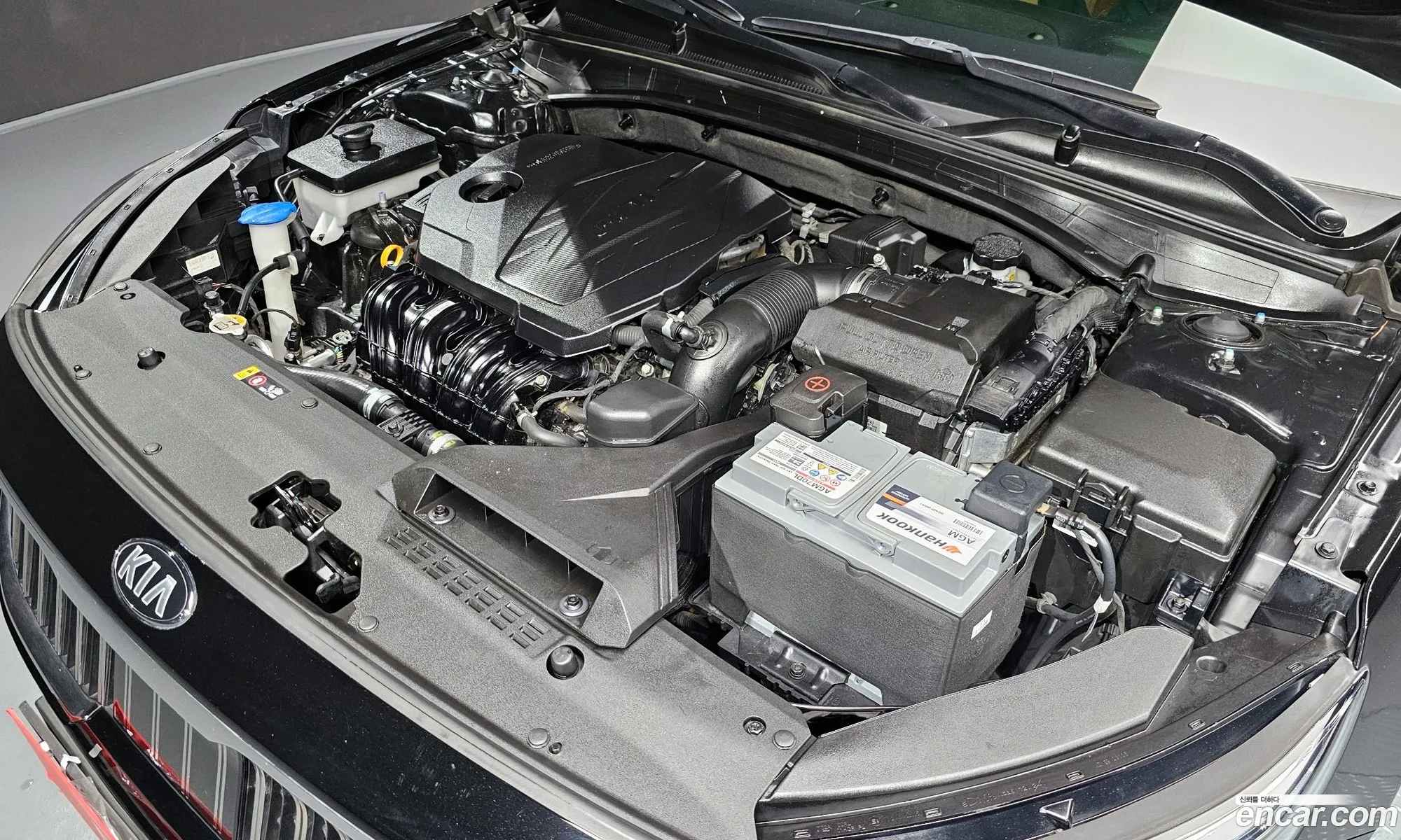 Korex Auto Trade - фотография 11277164