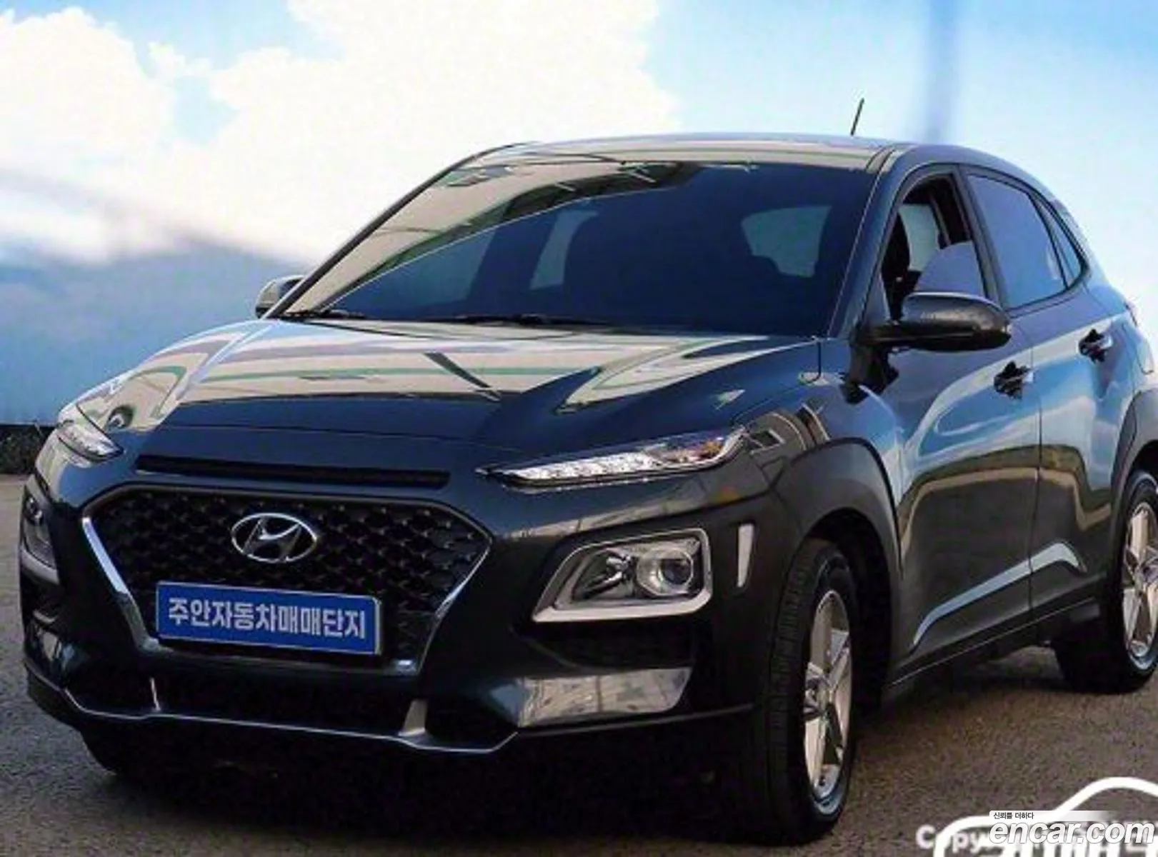 Korex Auto Trade - фотография 16541493