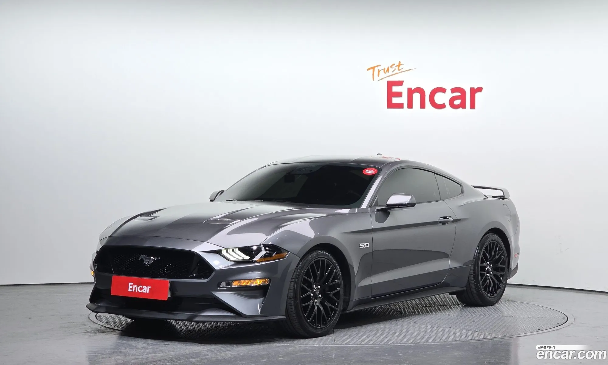 Mustang Gt Coupe - фотография 877115