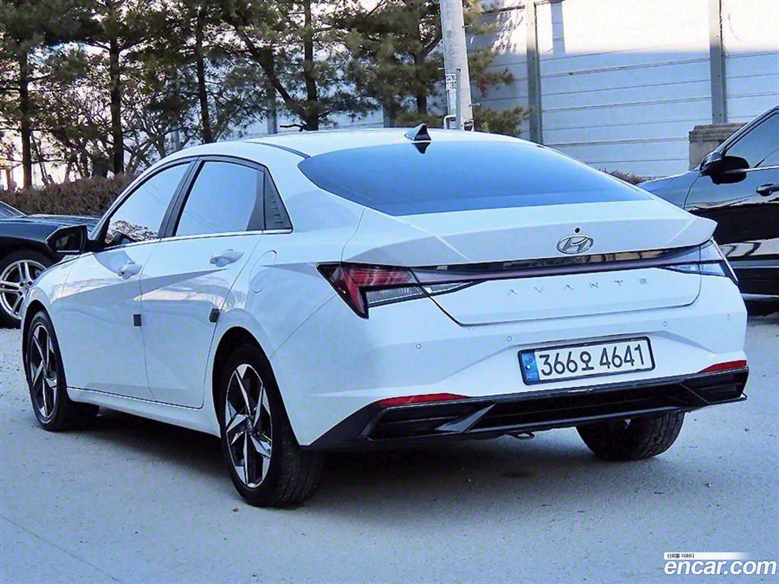Korex Auto Trade - фотография 16747744