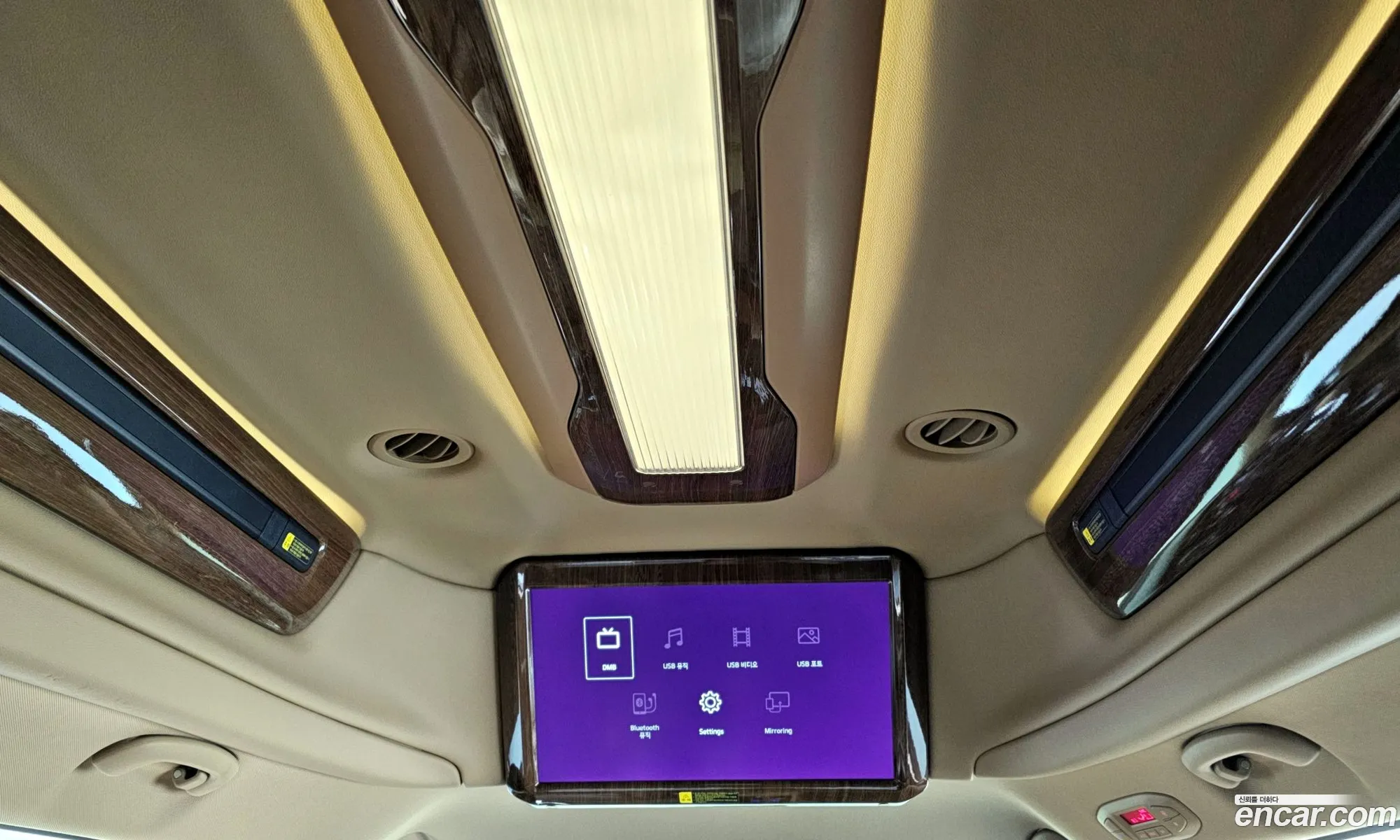 All New Carnival 9 -Seater High Limousine Prestige - фотография 11253354