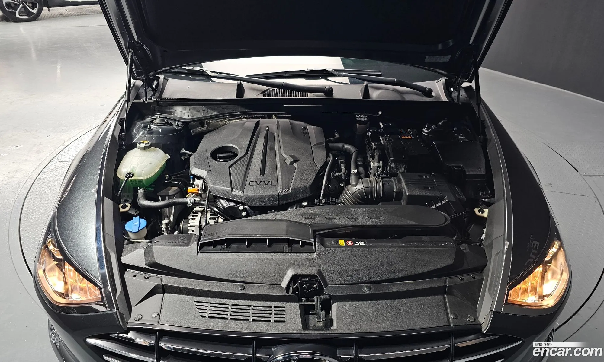 Korex Auto Trade - фотография 14205326