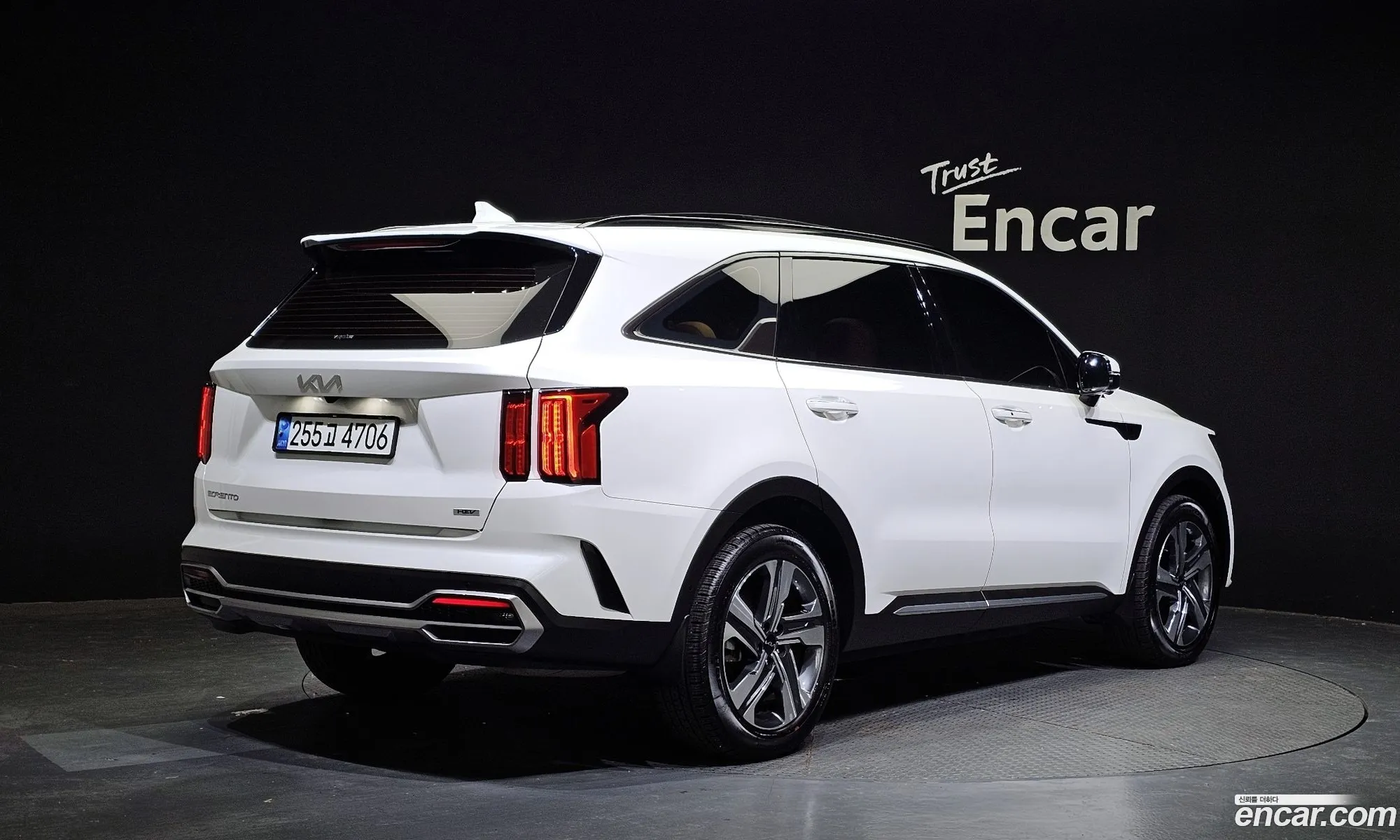 Korex Auto Trade - фотография 11312026