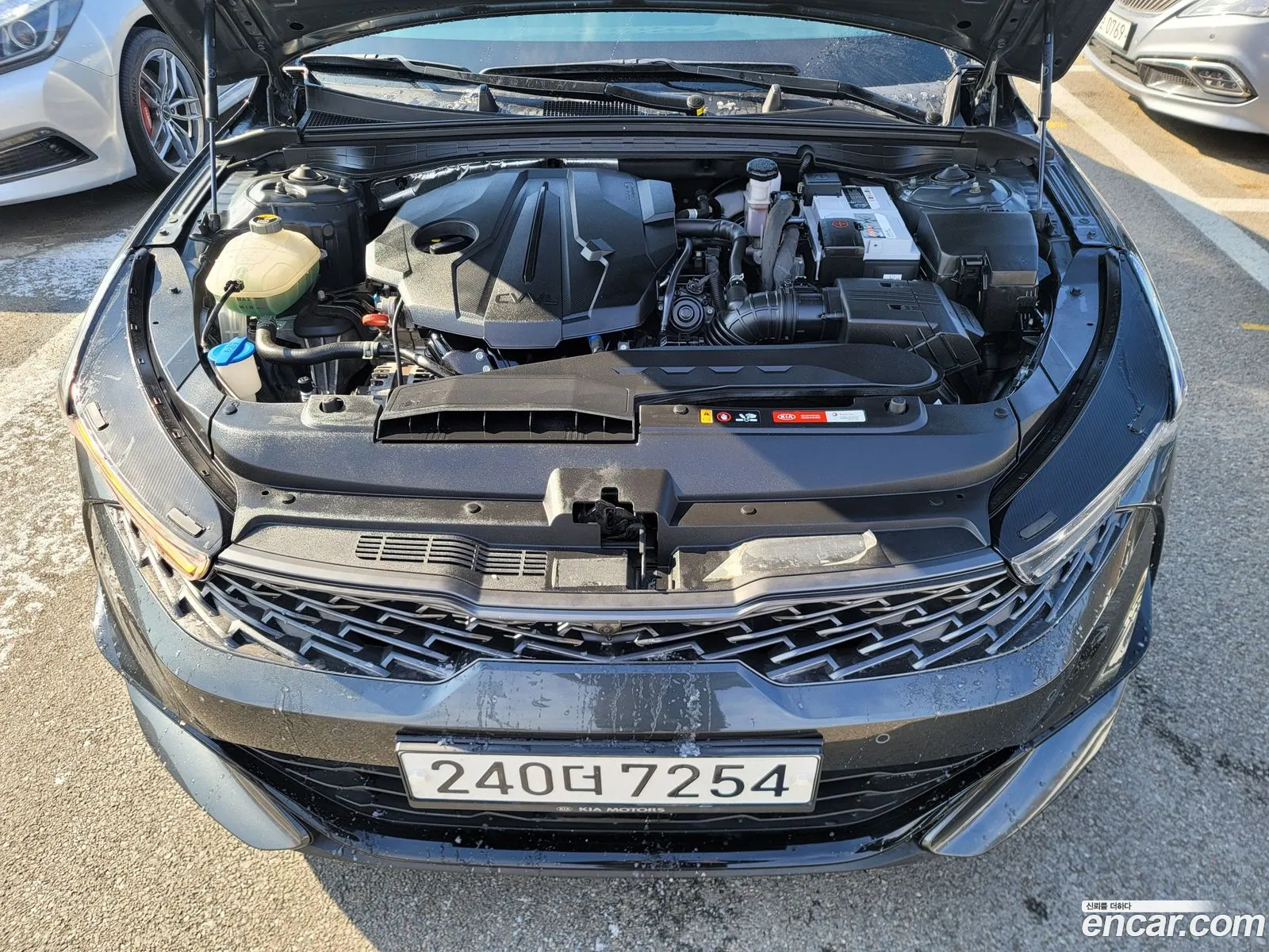Korex Auto Trade - фотография 11312757