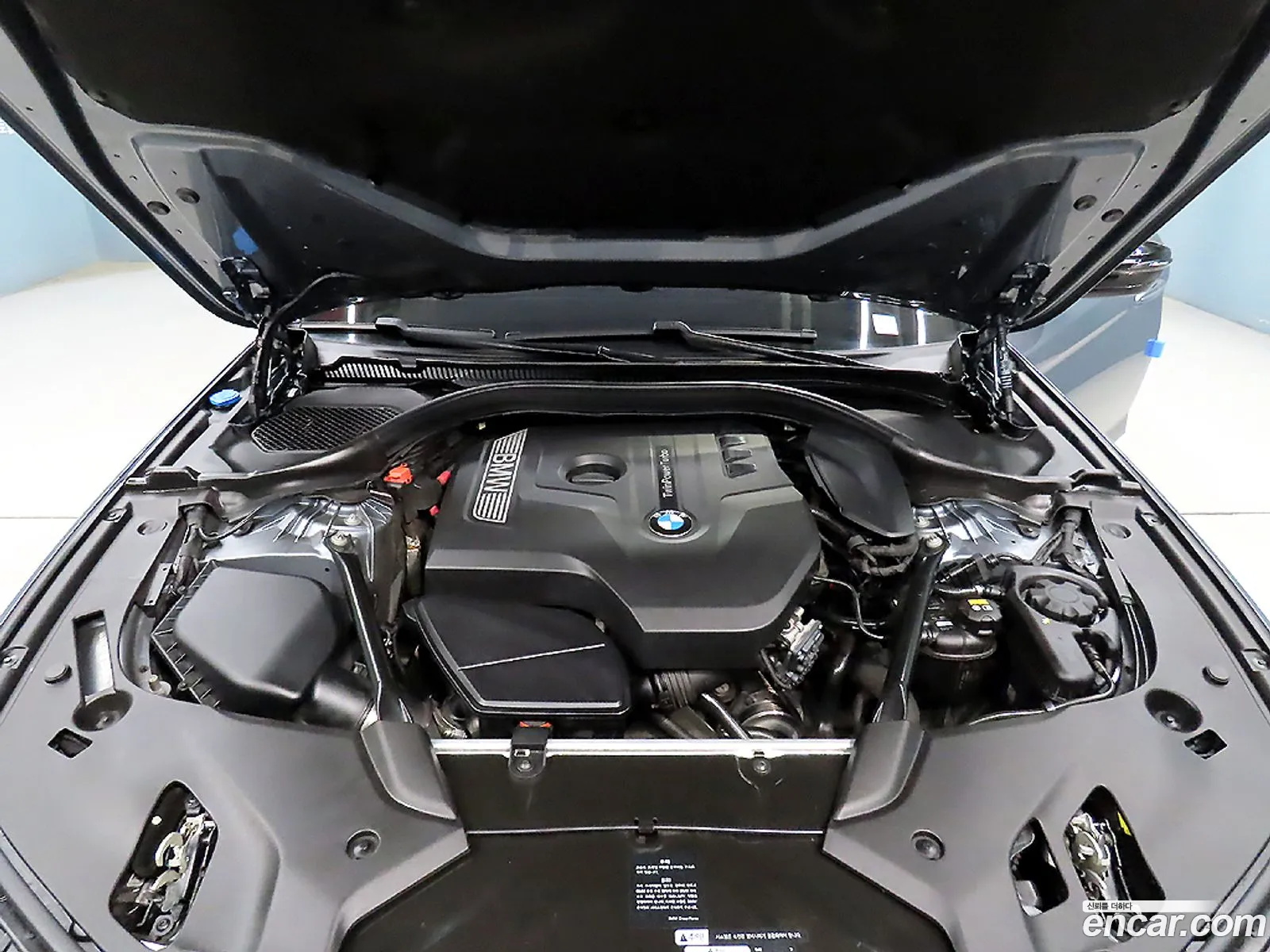 5 Series G30 530I M Sports Plus - фотография 2088852