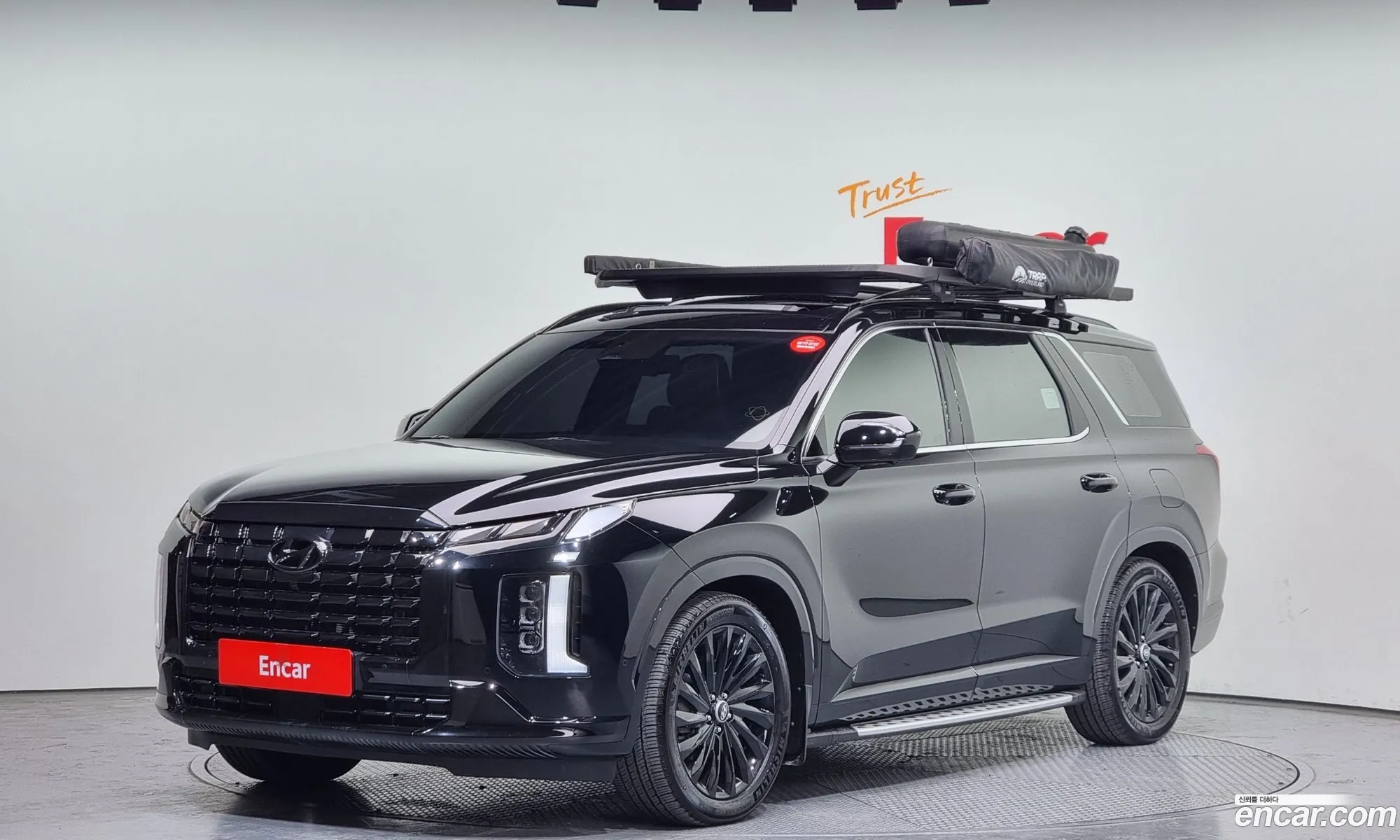 The New Palisade Gasoline 38 4Wd Calligraphy Black Edition - фотография 254346