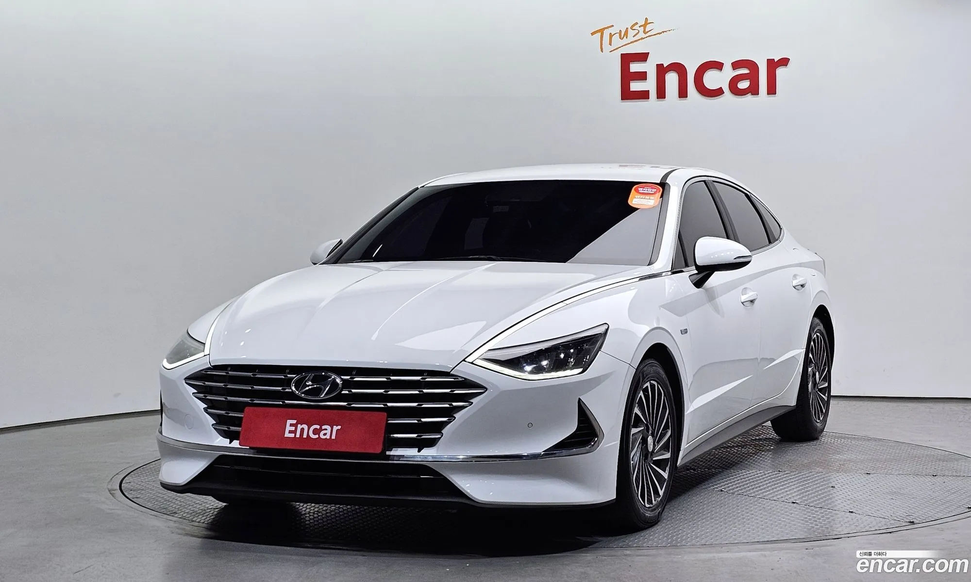 Sonata Hybrid Dn8 Premium Family - фотография 254322