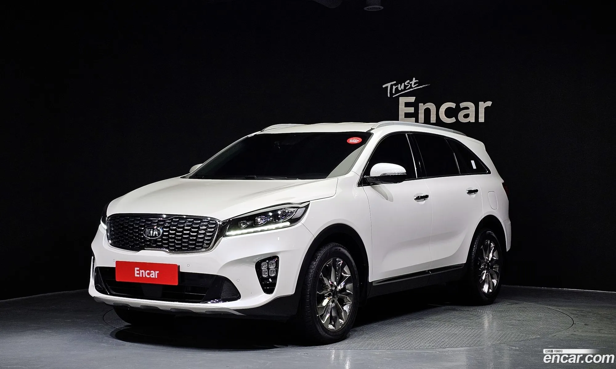 The New Sorento Diesel 20 2Wd Noblesse Special - фотография 11210634