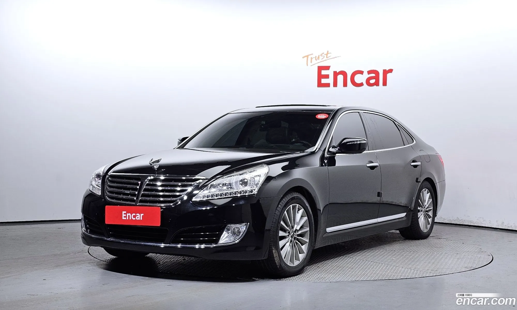 Equus New Vs380 Modern - фотография 13717850