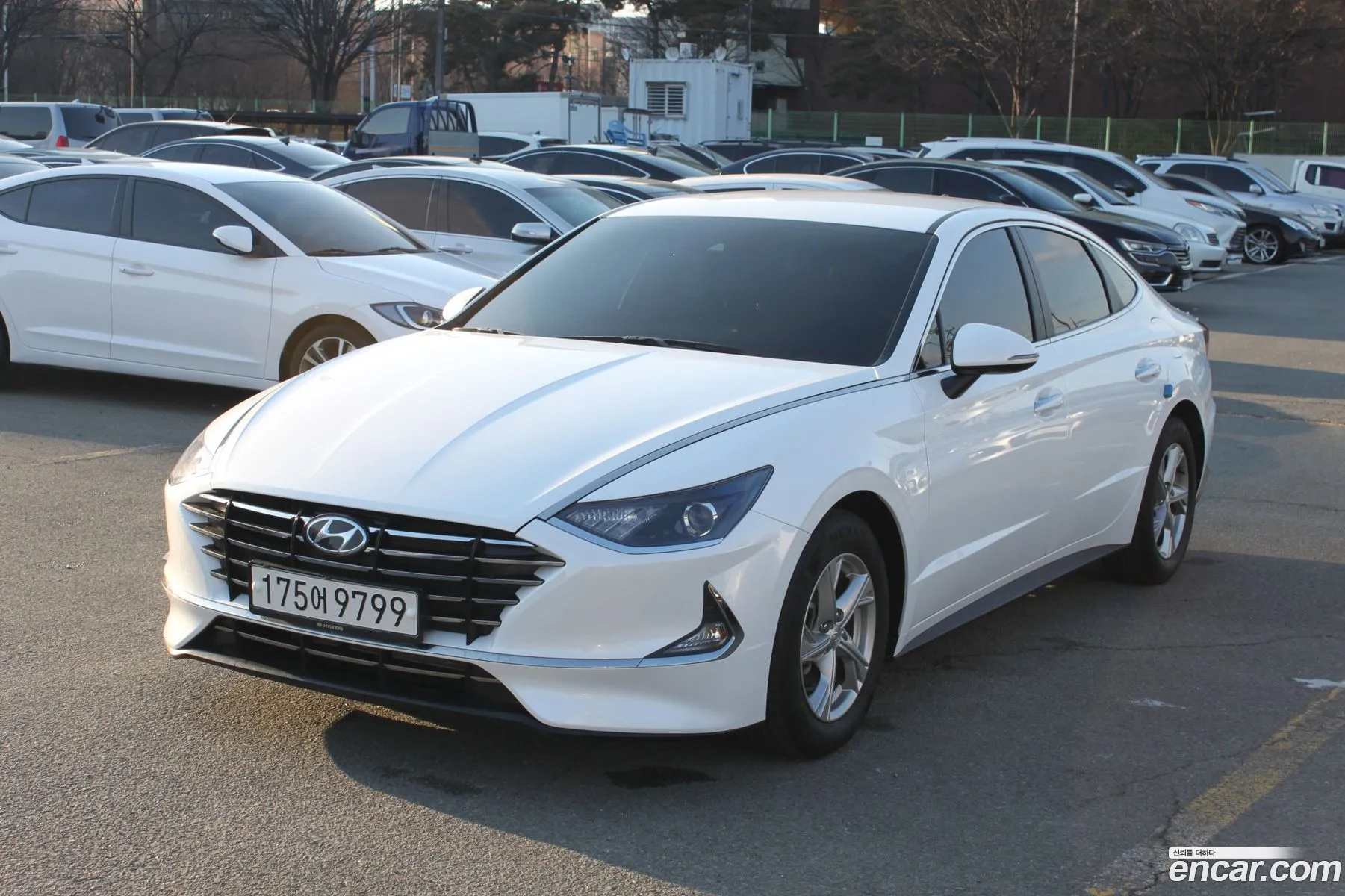 Sonata Dn8 20 Lpg For Rental Smart - фотография 13717862