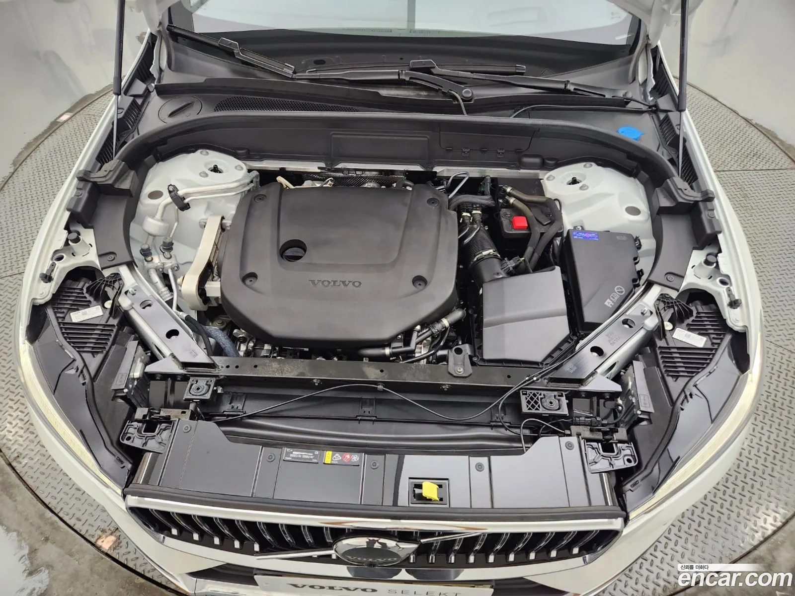 Korex Auto Trade - фотография 3823545