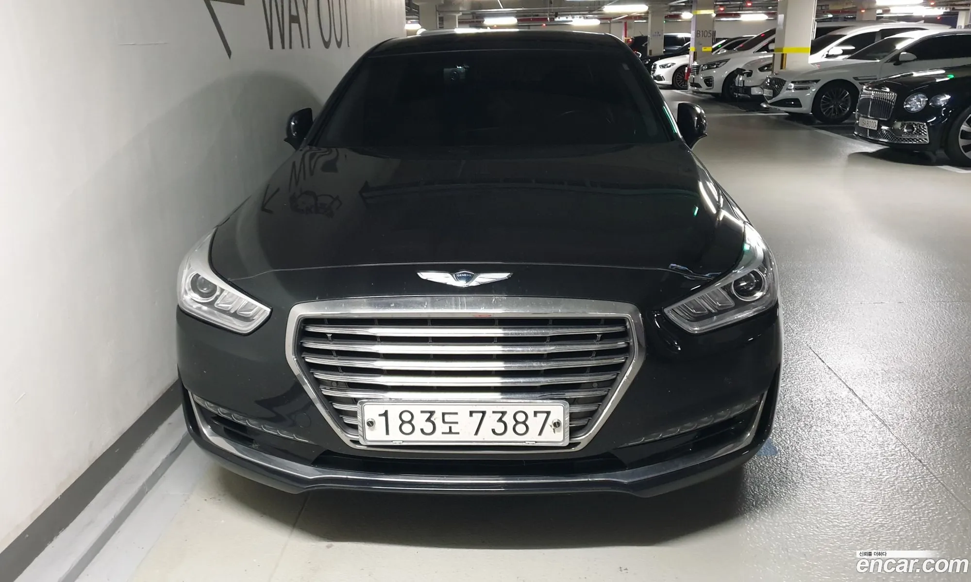 Korex Auto Trade - фотография 12394551