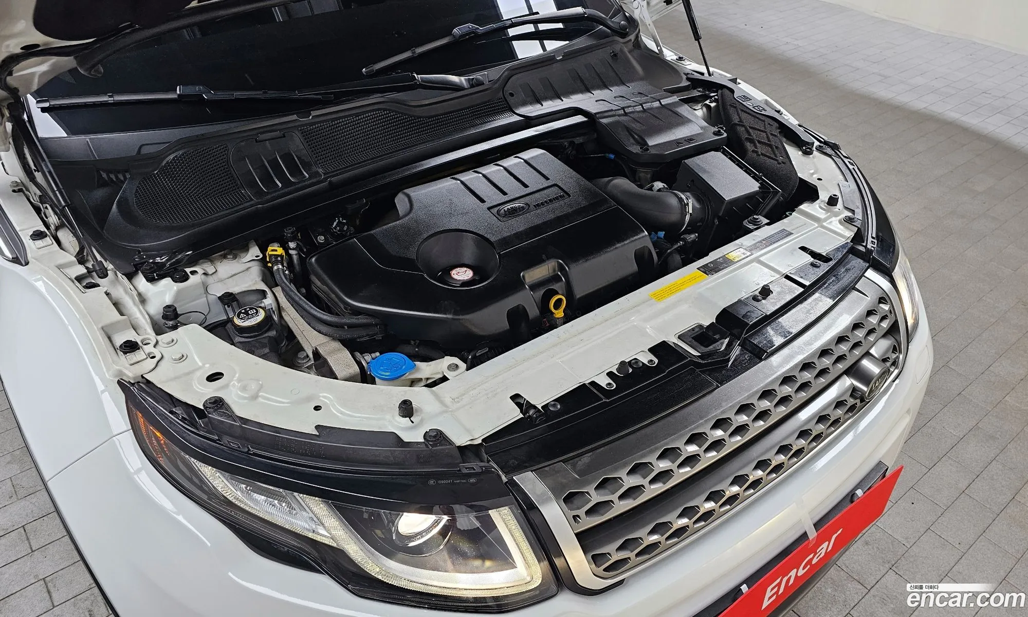 Korex Auto Trade - фотография 3716935