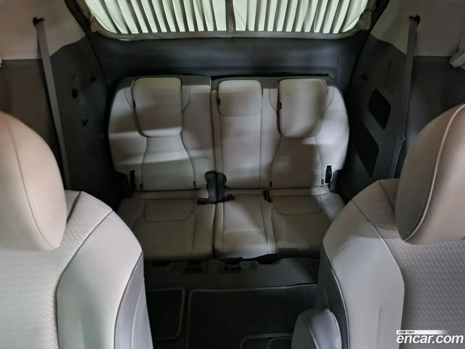 Carnival 4Th Generation Is Solin 7 -Seater High Li Mujin Signature - фотография 3974