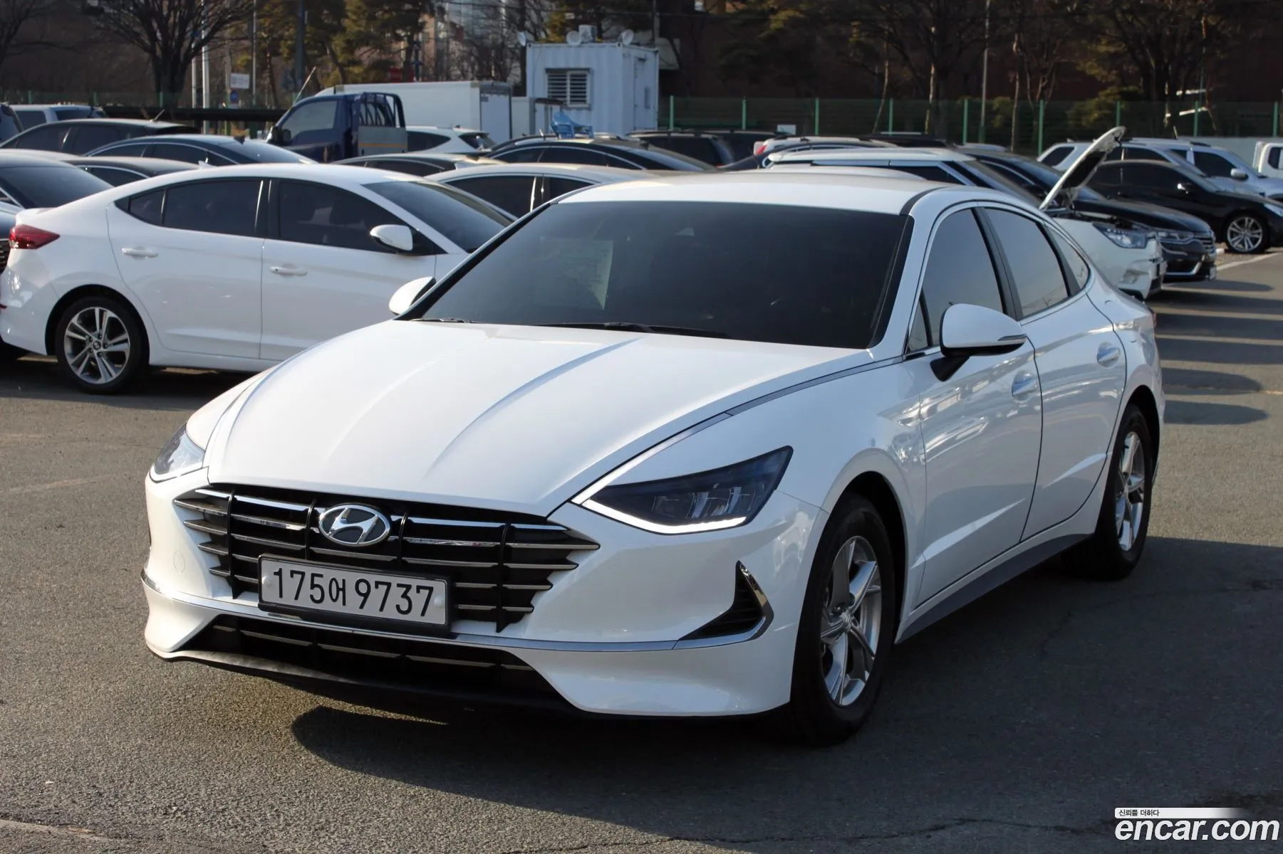 Sonata Dn8 20 Premium - фотография 15359656