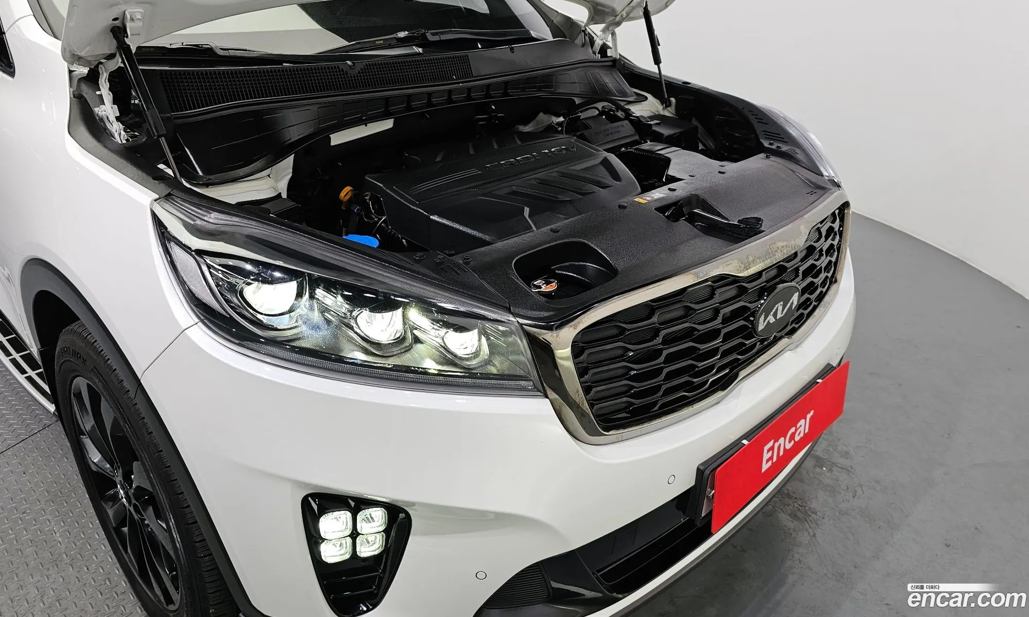 Korex Auto Trade - фотография 12393067