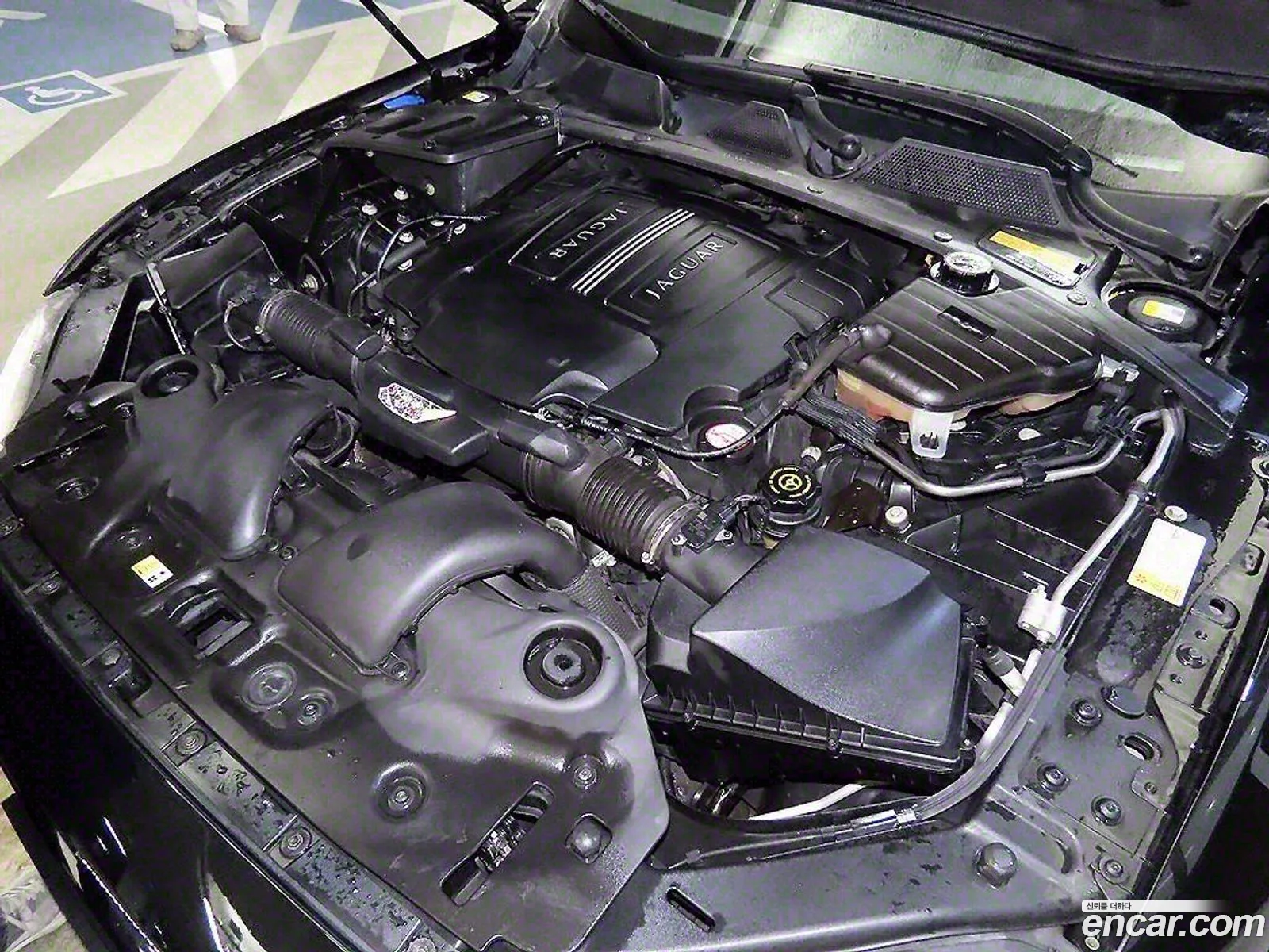 All New Xj50 Premium Luxury Lwbx351 - фотография 3902591