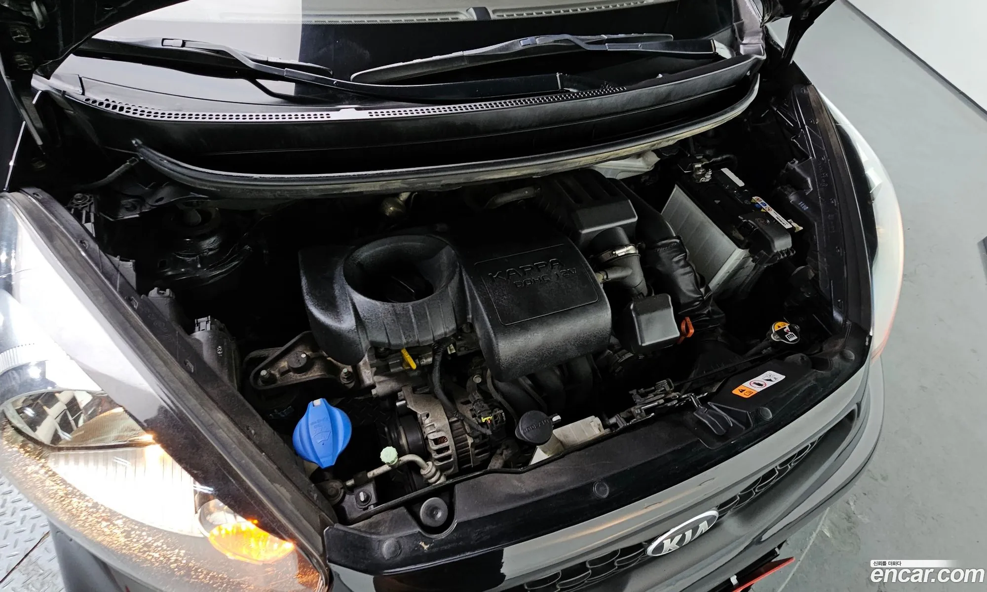 Korex Auto Trade - фотография 12300596