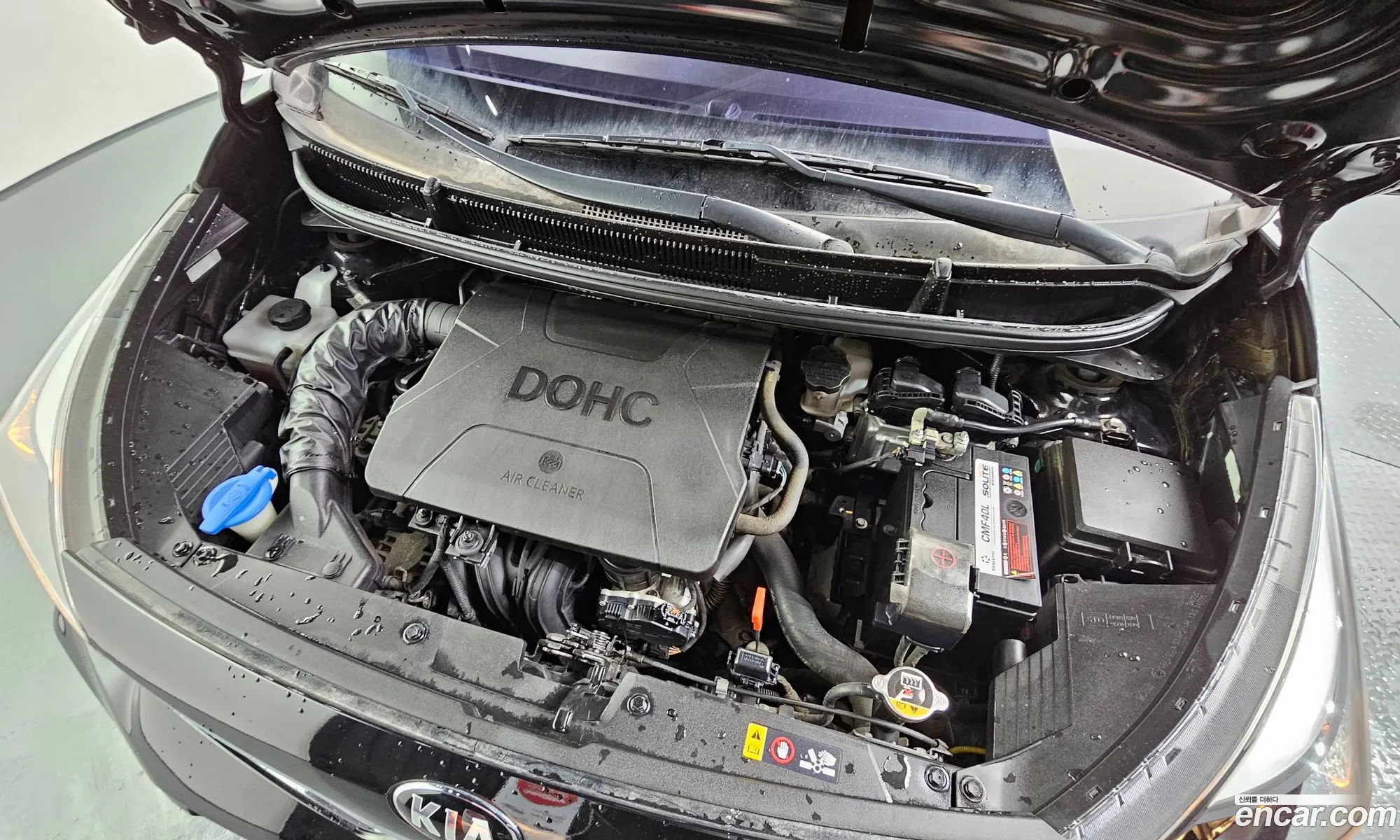 Korex Auto Trade - фотография 18802808