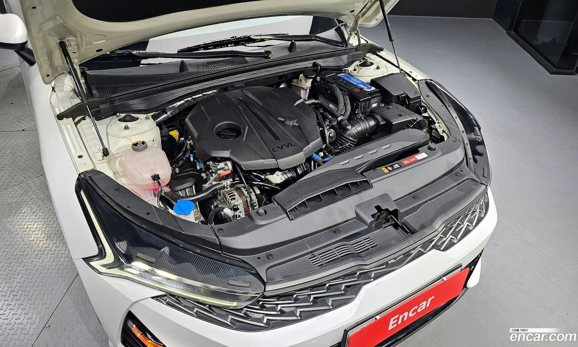 Korex Auto Trade - фотография 12266143