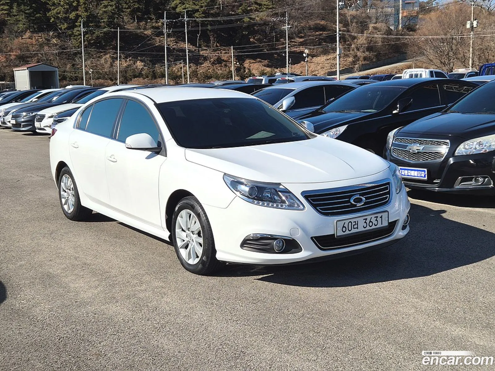 New Sm5 Platinum Lpli Taxi Car Rental - фотография 15438973