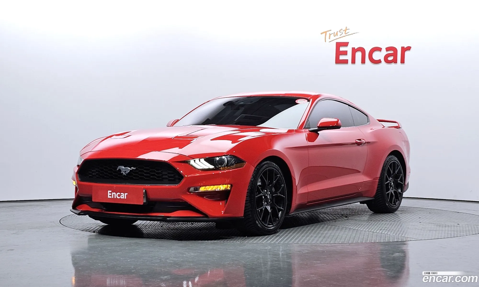 Mustang Coupe - фотография 988659