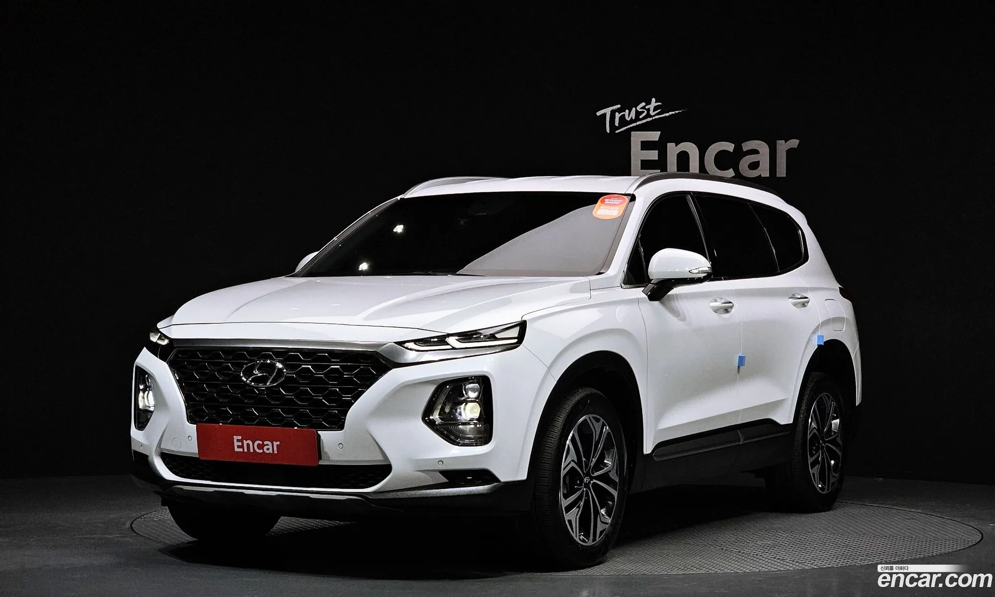 Santa Fe Tm Gasoline 20T 2Wd Exclusive Special - фотография 14899862