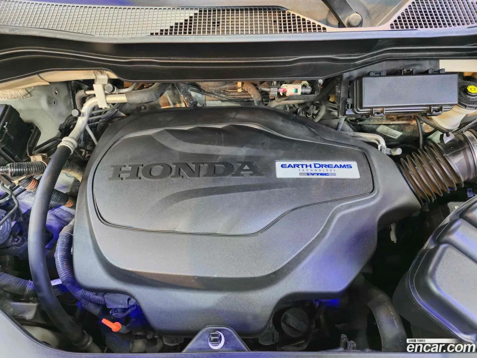 Korex Auto Trade - фотография 11131385