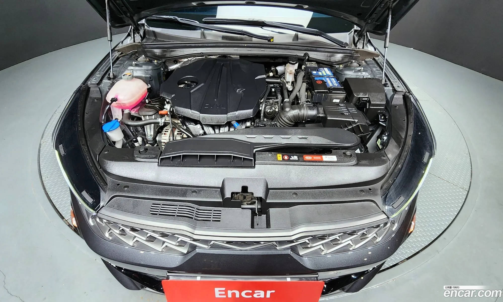 Korex Auto Trade - фотография 12330018