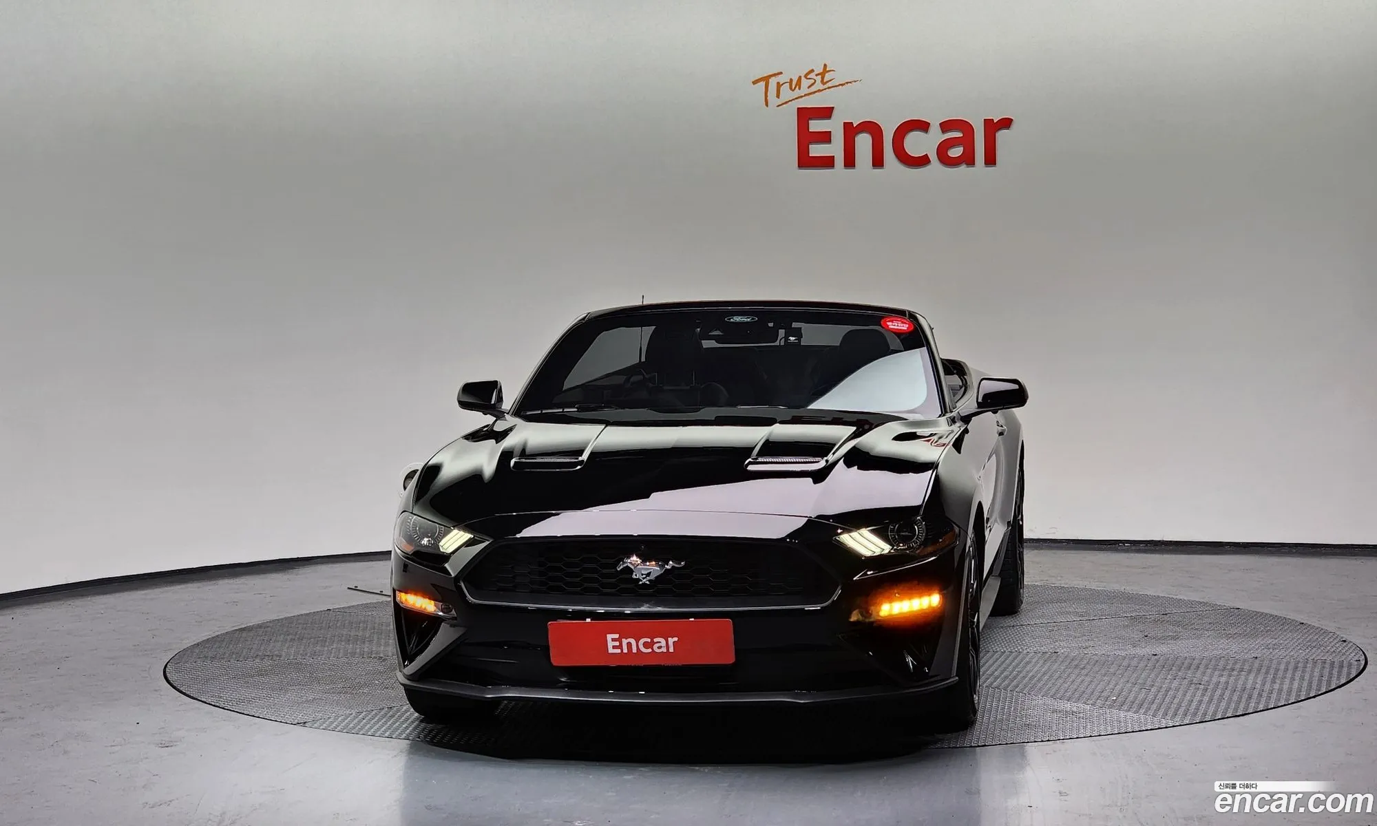 Korex Auto Trade - фотография 1038886