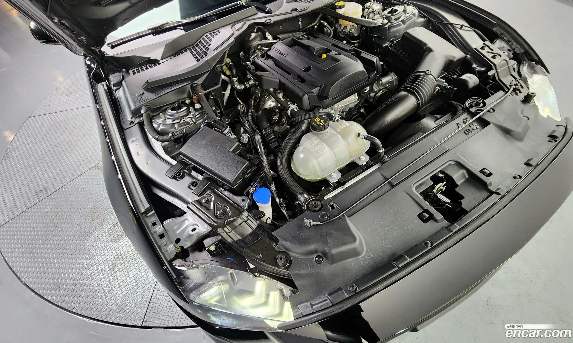 Korex Auto Trade - фотография 1038883