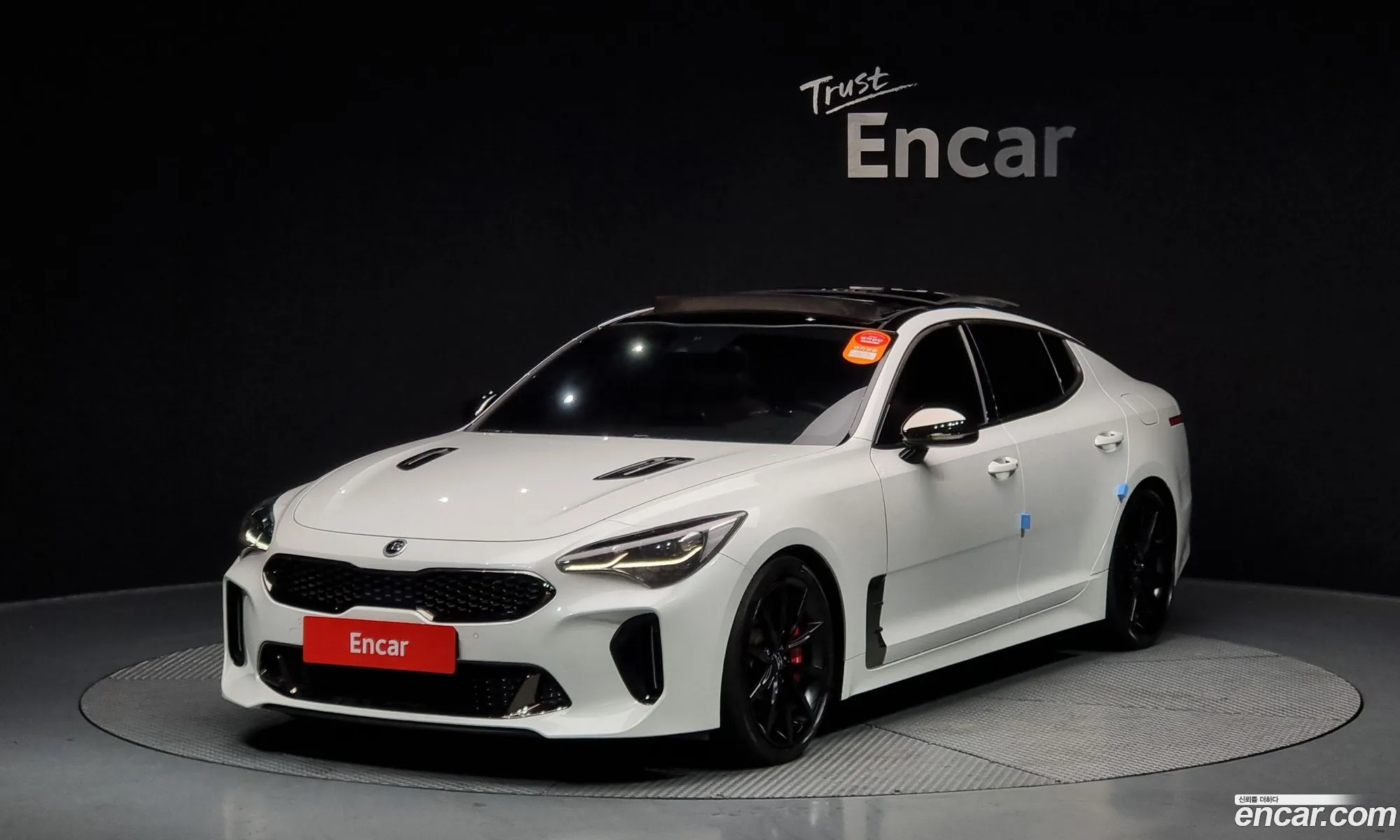 Kia Stinger 20 Turbo Awd 2019 - фотография 18714051