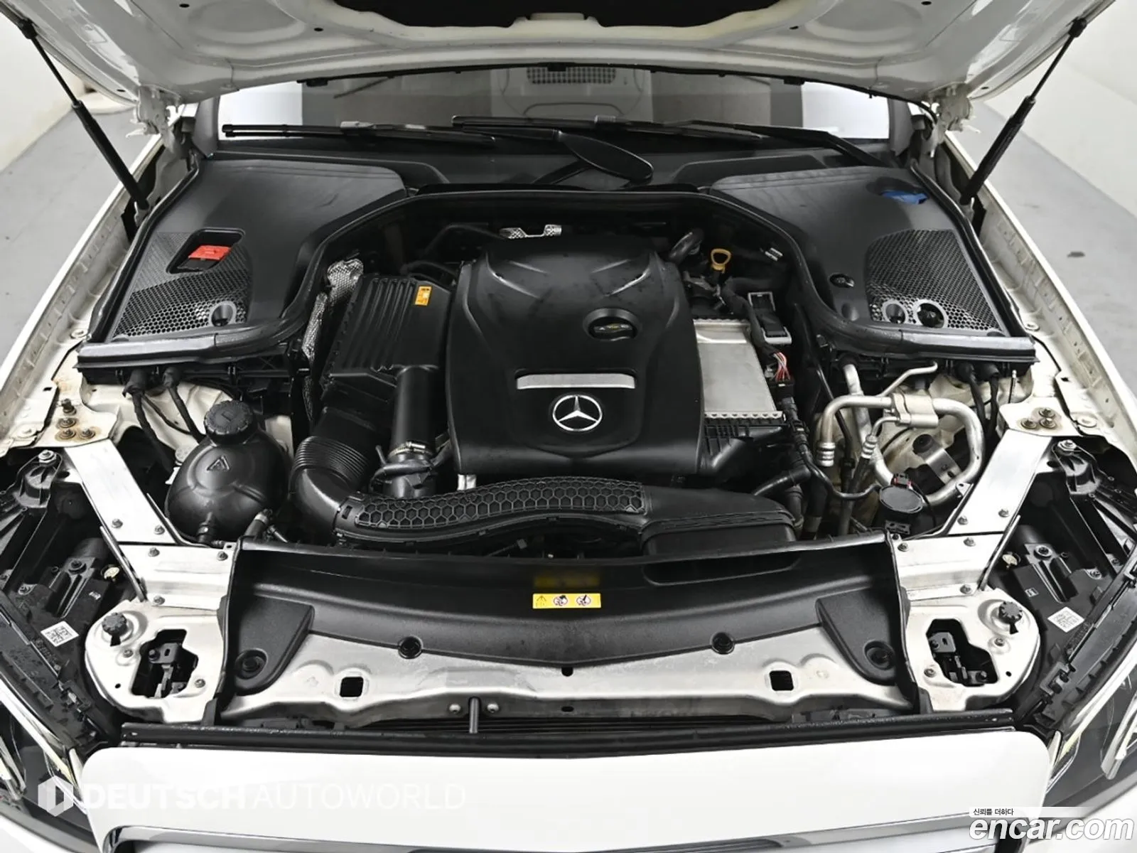 Korex Auto Trade - фотография 4874948