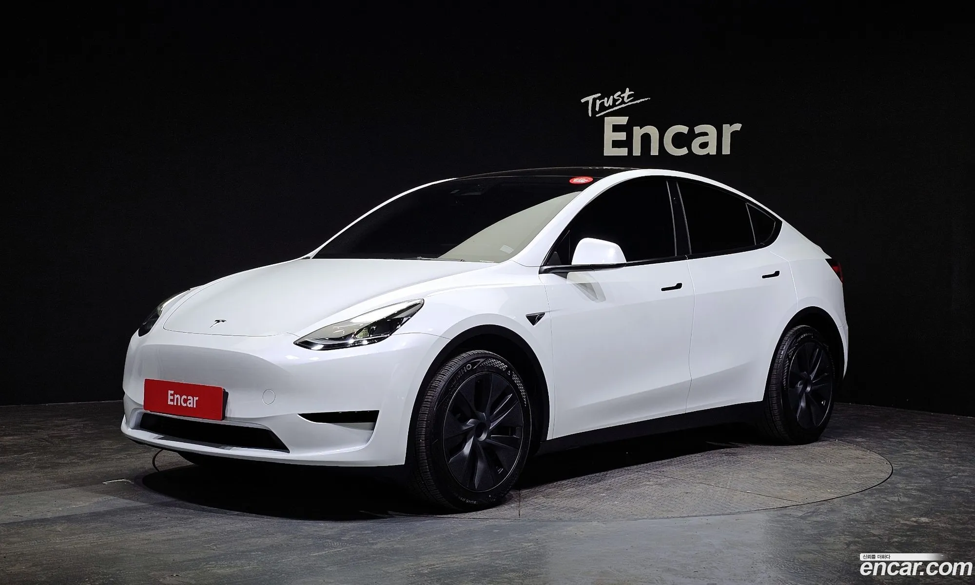 Model Y Rwd - фотография 3509378