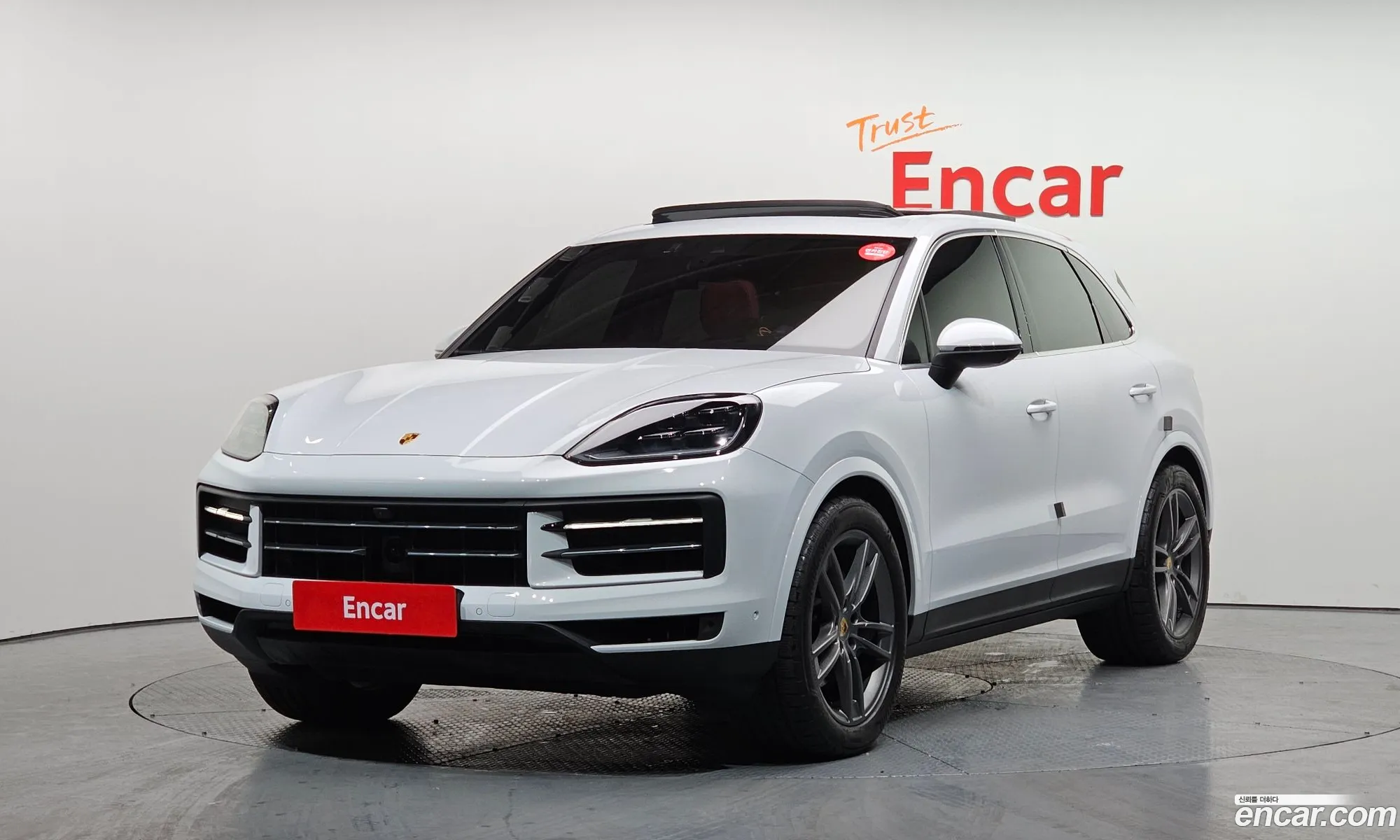 Cayenne Po536 30 - фотография 5055868