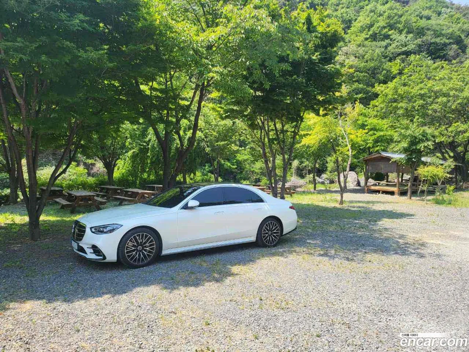 S-Class W223 S400 D 4Matic - фотография 3887198